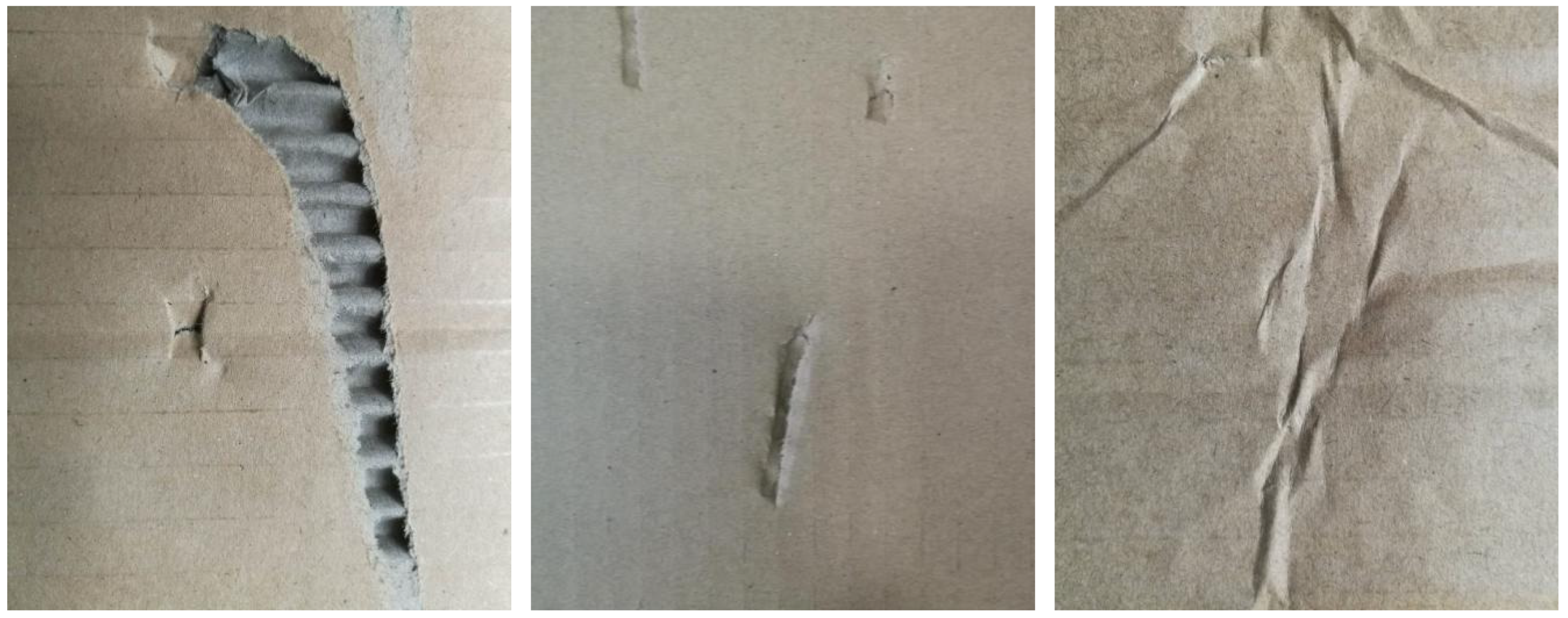 Algorithms 18 00370 g005