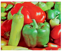 Algorithms 18 00406 i007