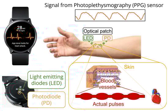 Algorithms 18 00419 g003