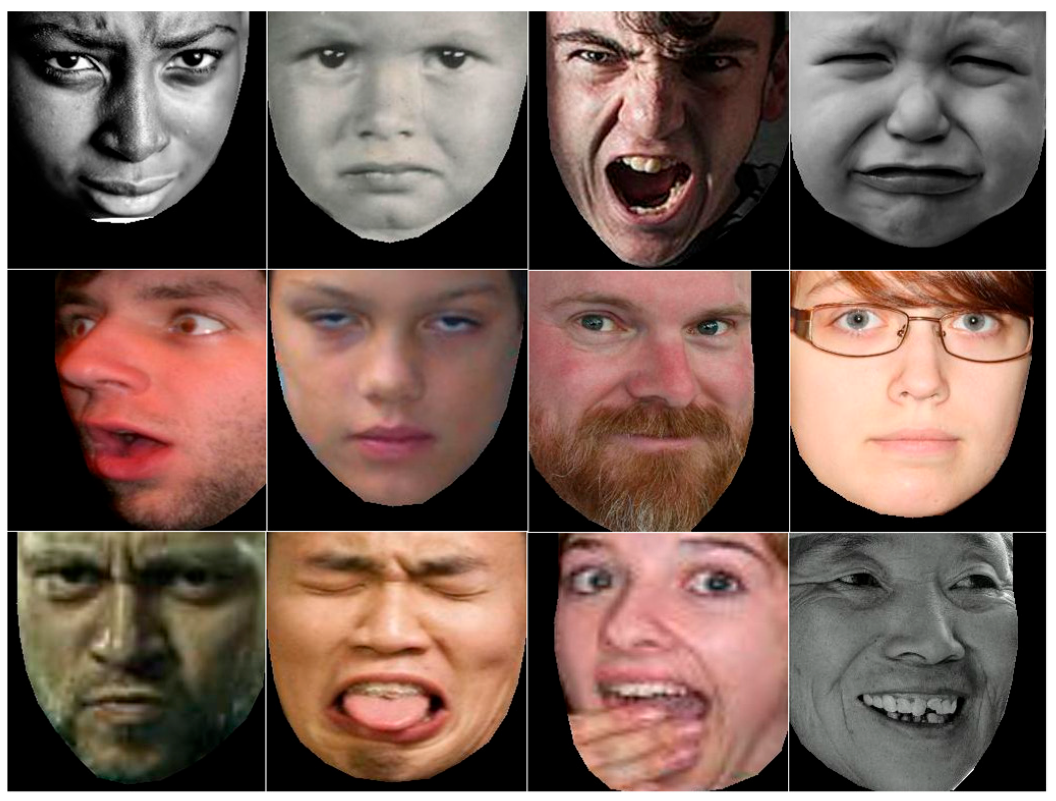 Algorithms 18 00473 g010