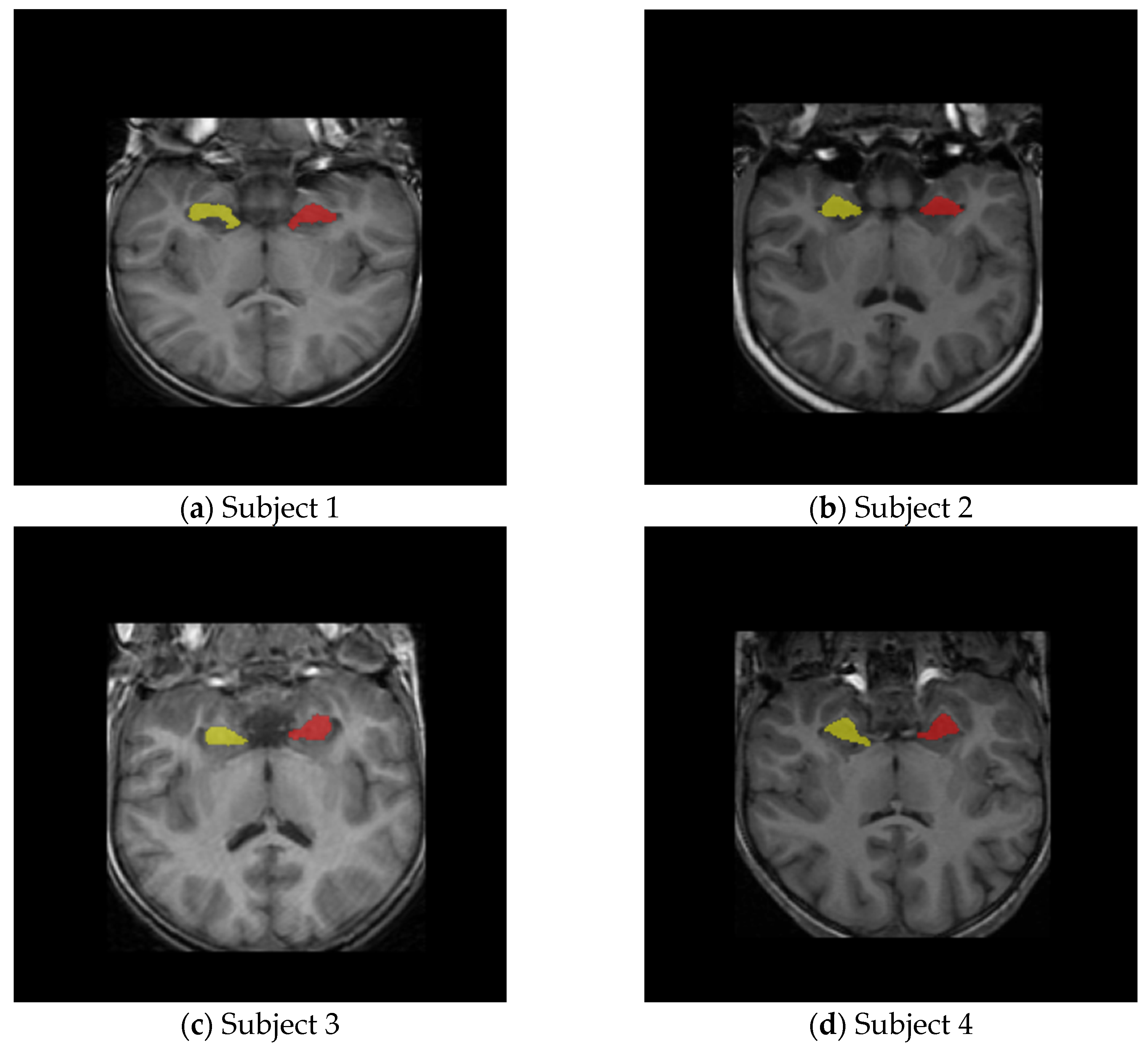 Algorithms 18 00509 g001