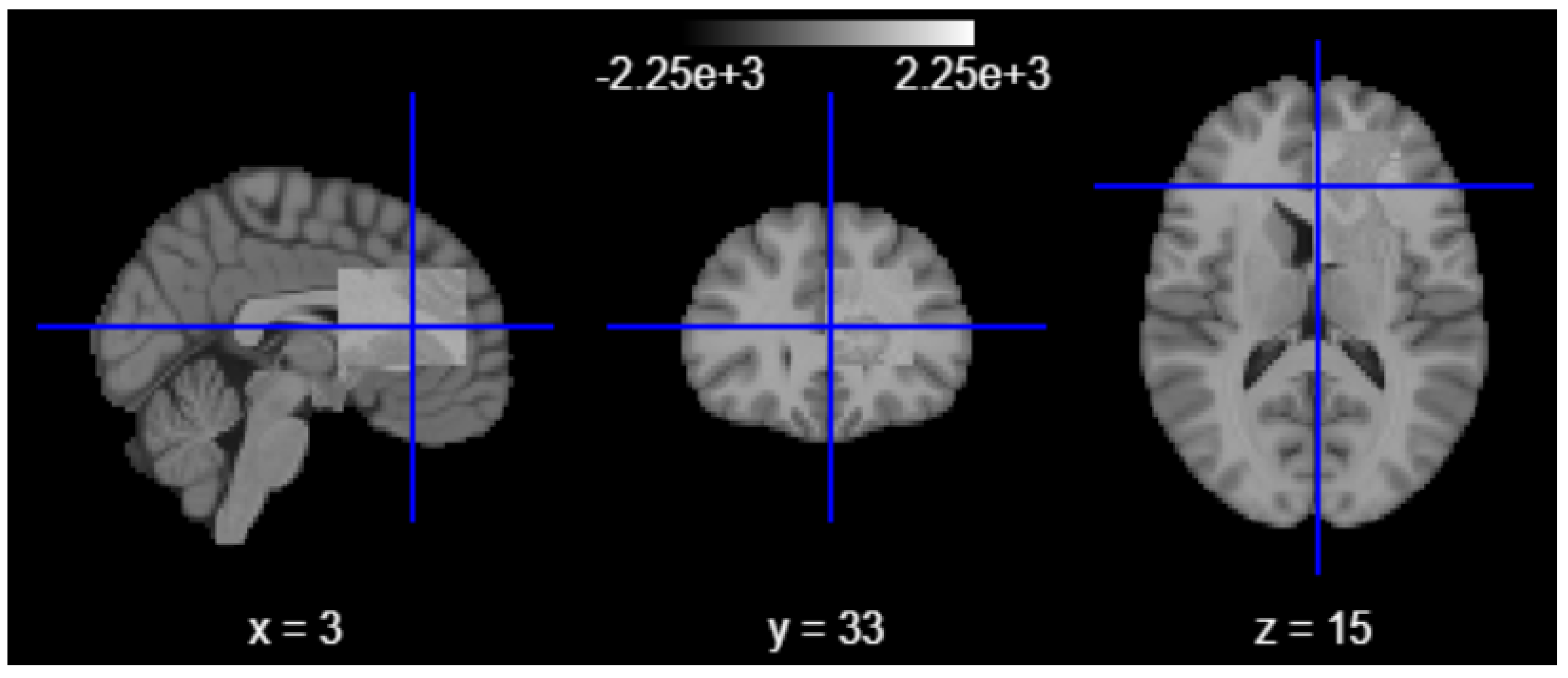 Algorithms 18 00509 g003