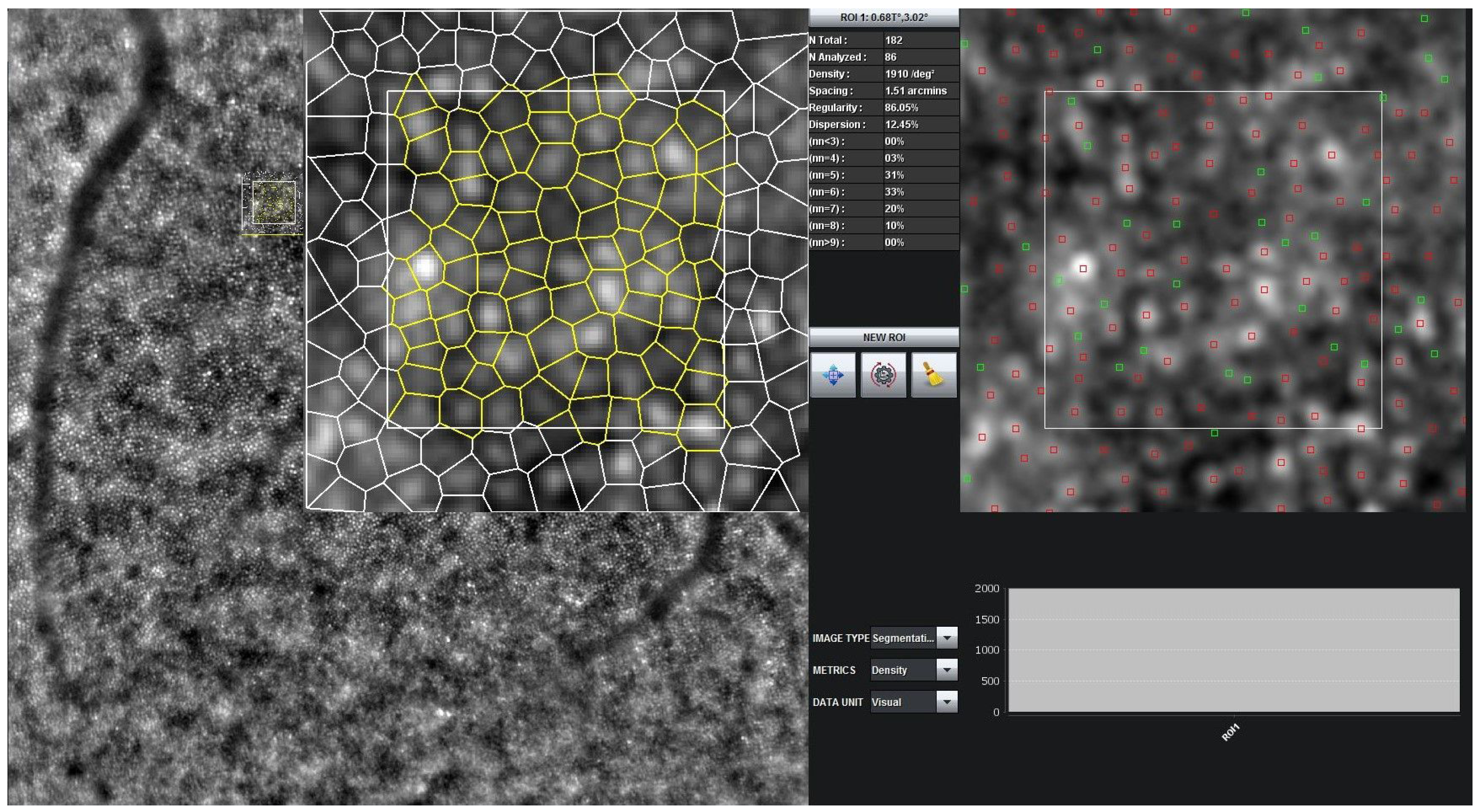 Algorithms 18 00552 g001