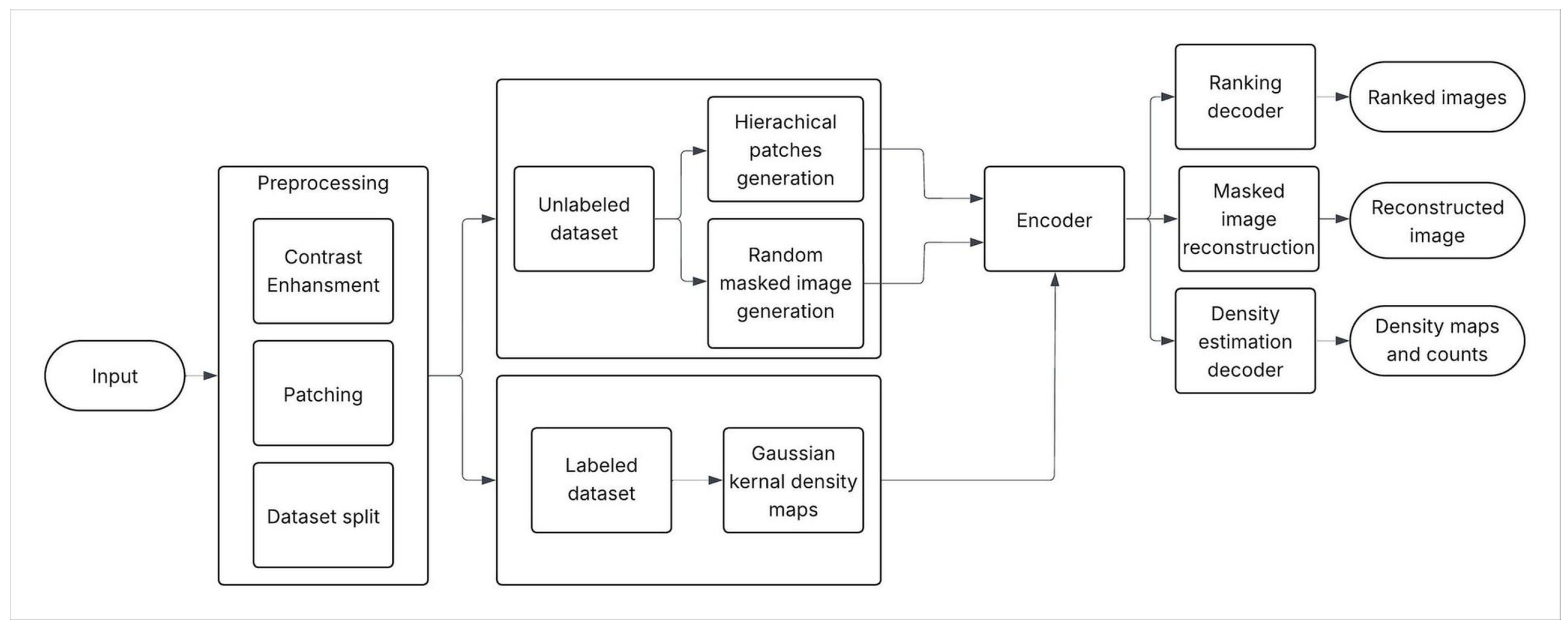 Algorithms 18 00552 g002