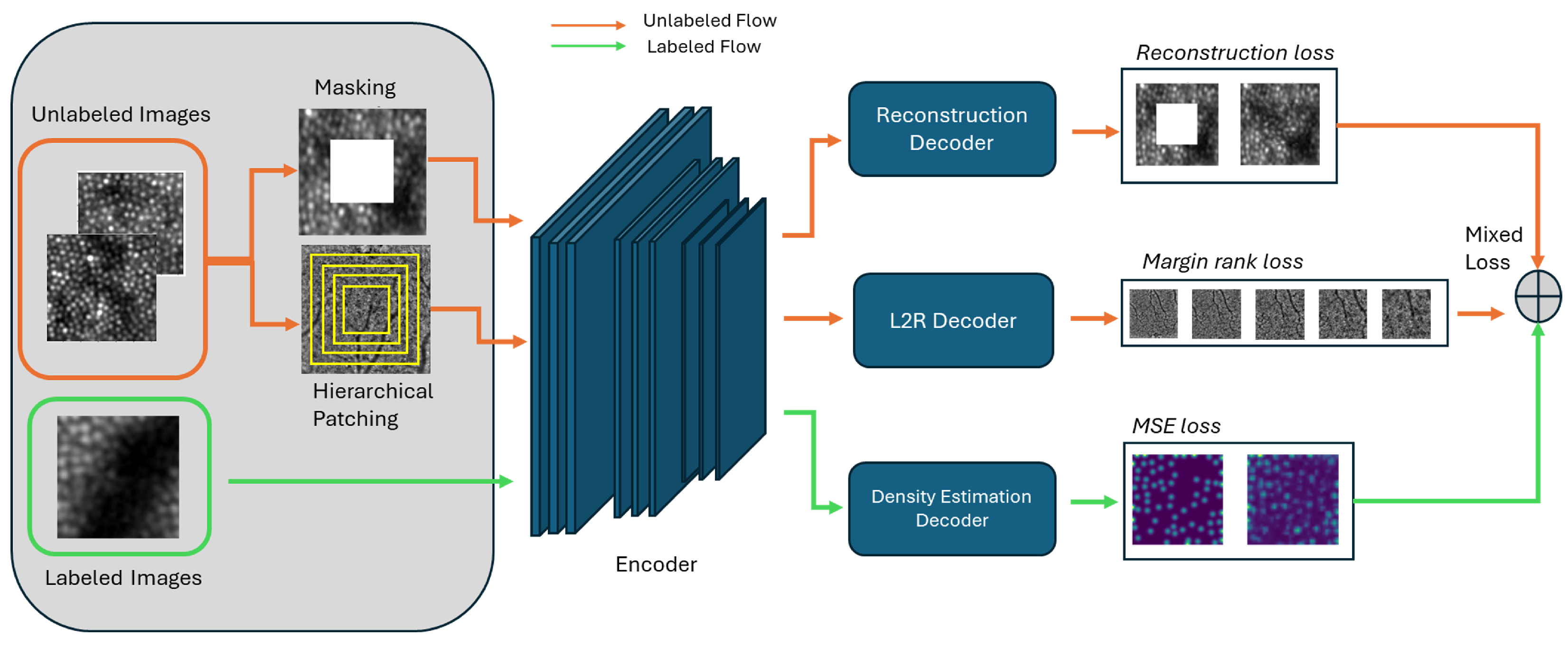 Algorithms 18 00552 g003