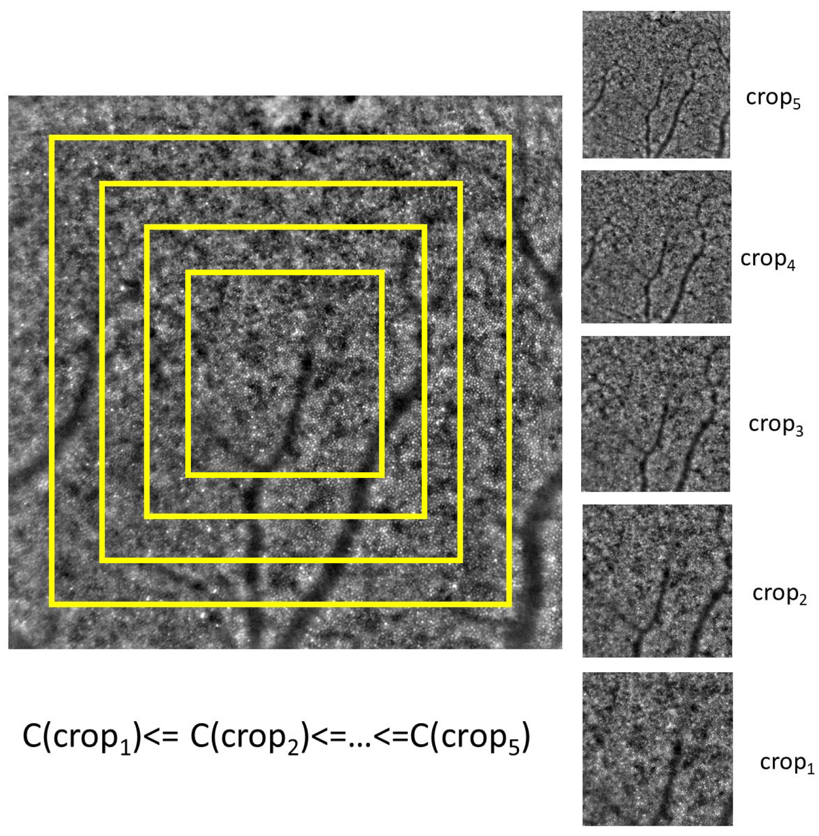 Algorithms 18 00552 g004