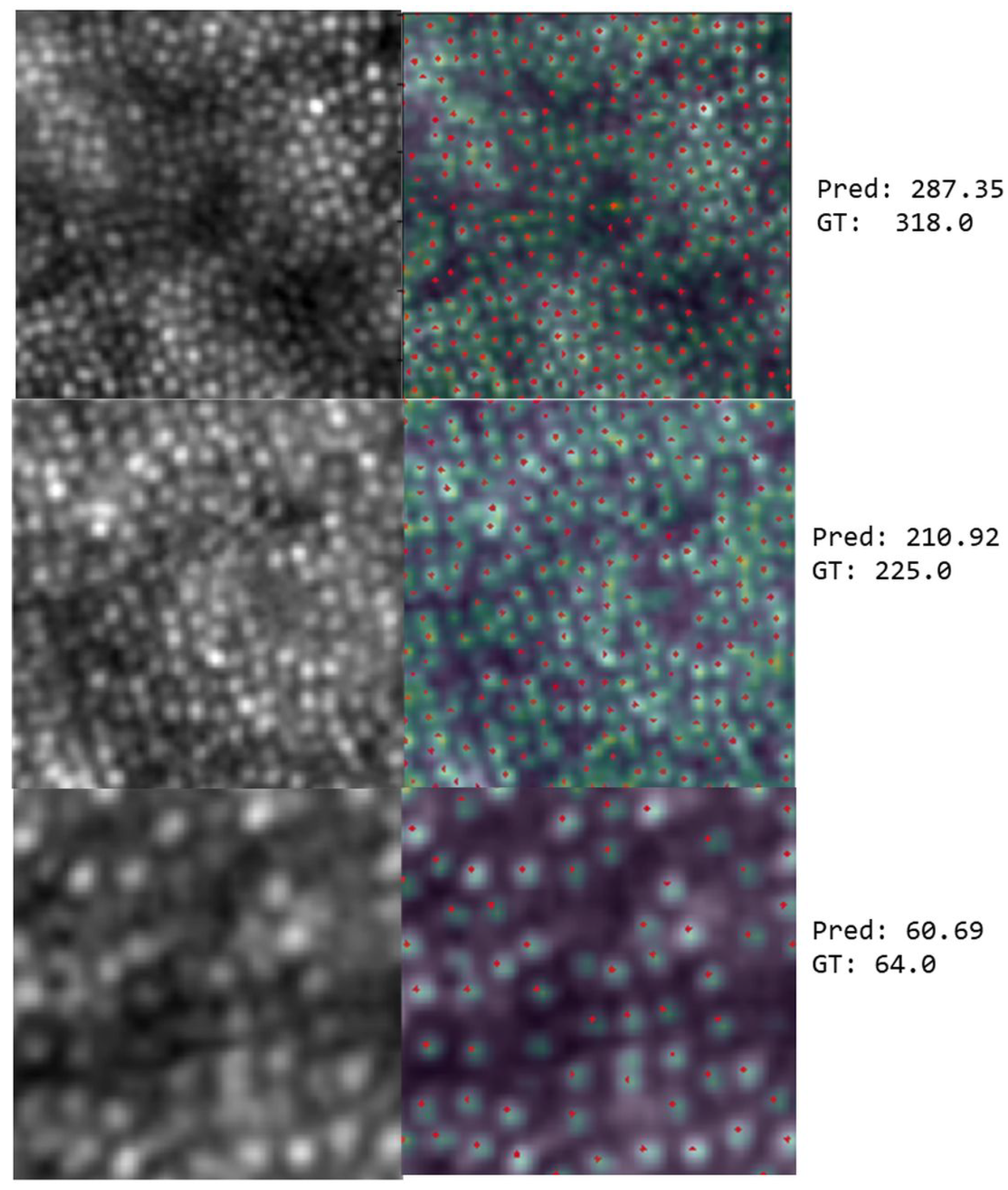 Algorithms 18 00552 g005