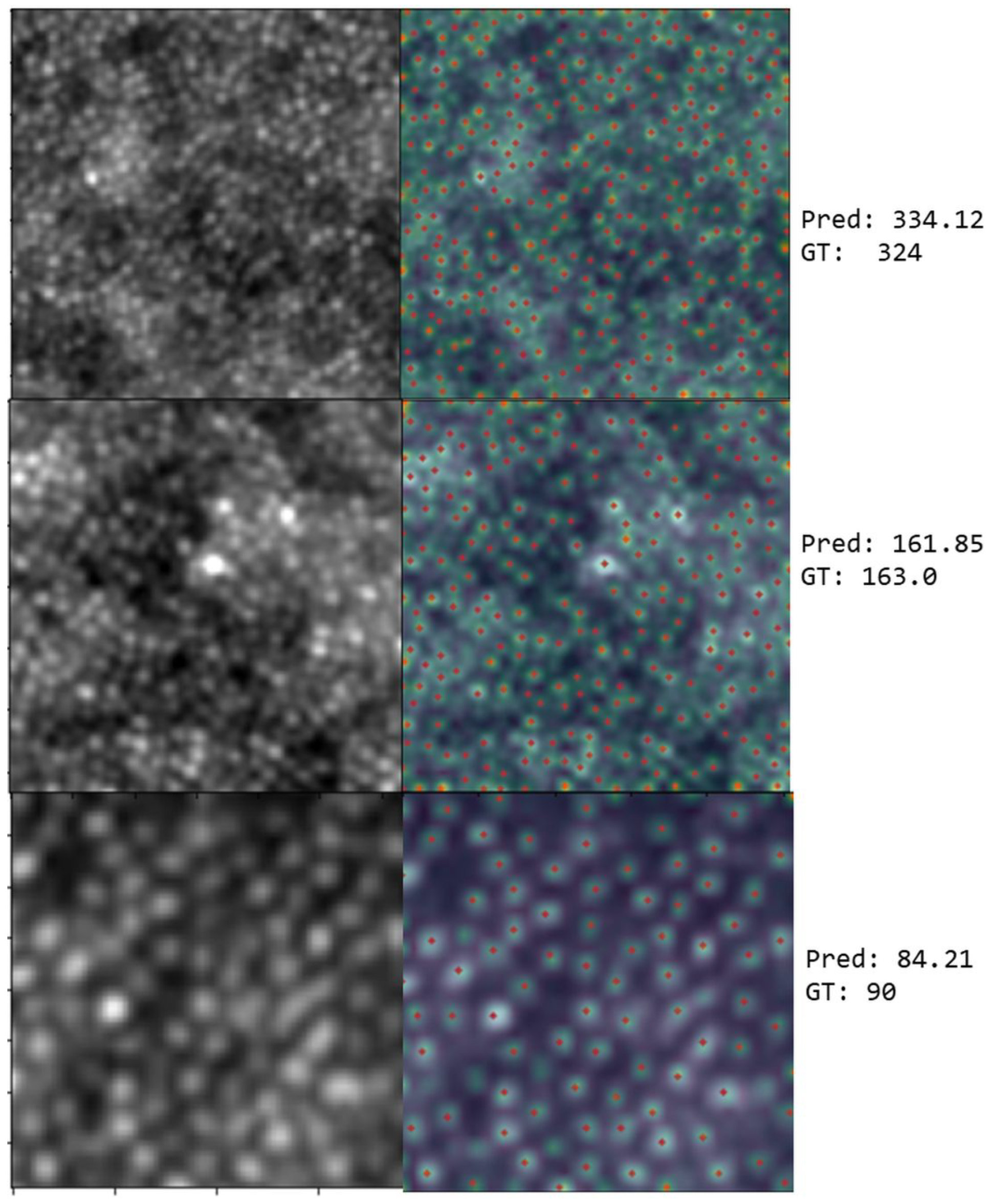 Algorithms 18 00552 g006