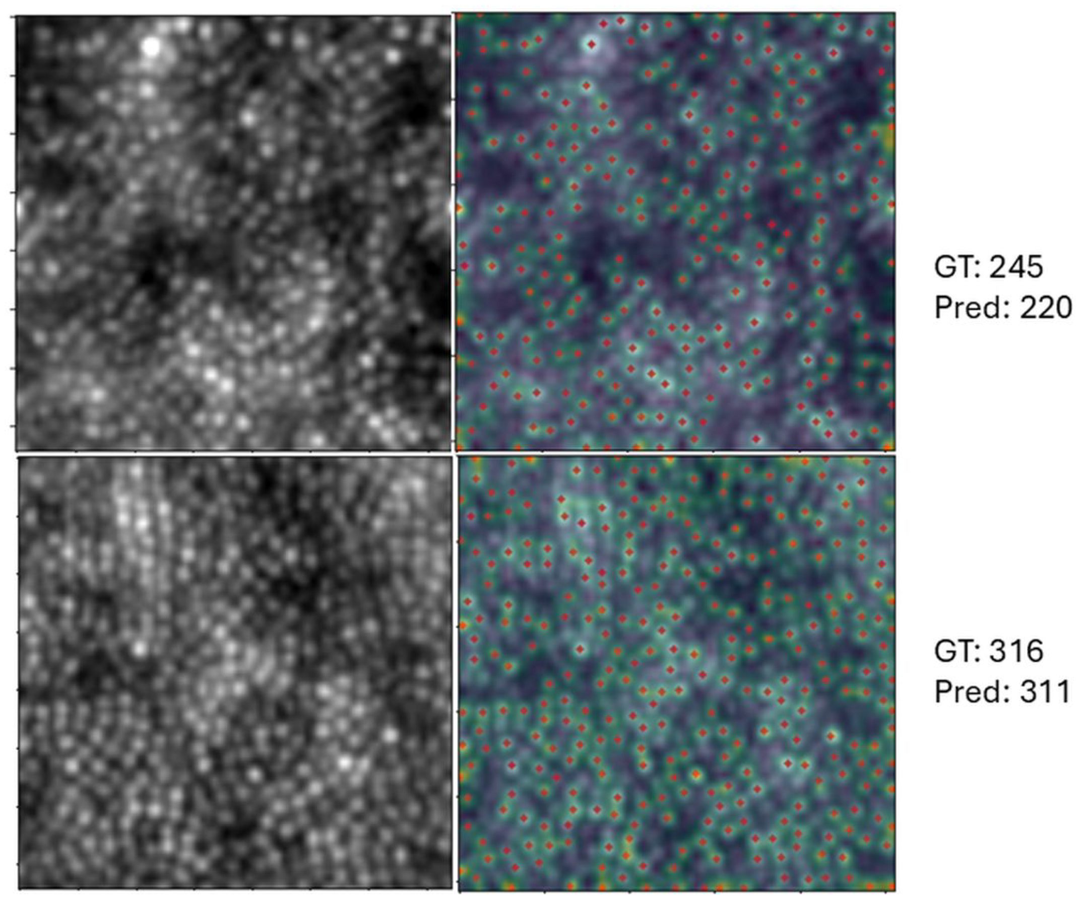 Algorithms 18 00552 g007