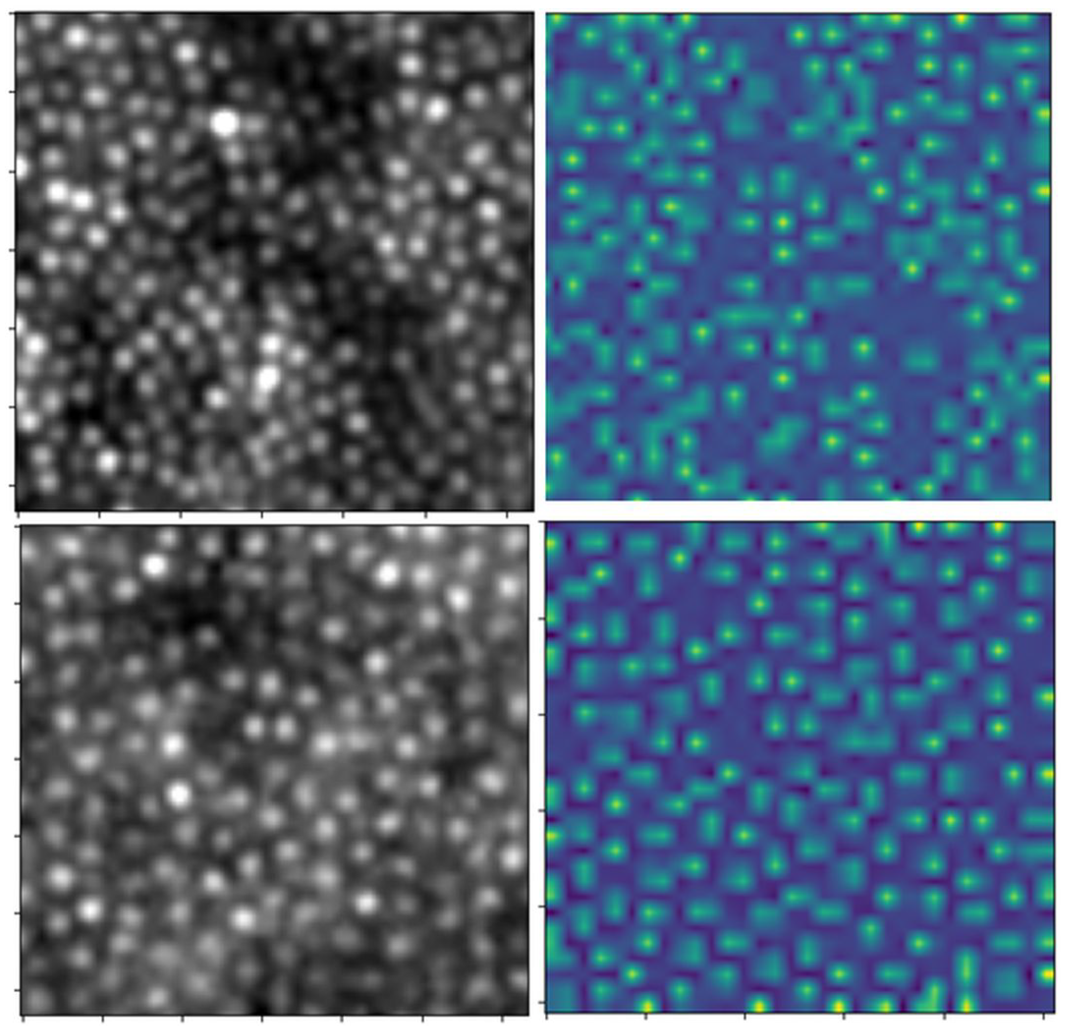 Algorithms 18 00552 g012