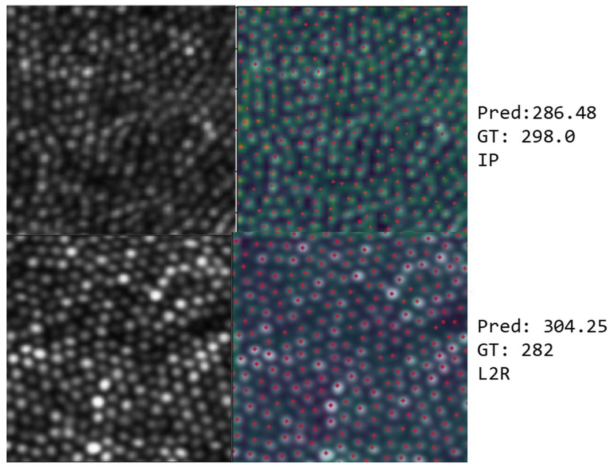 Algorithms 18 00552 g016