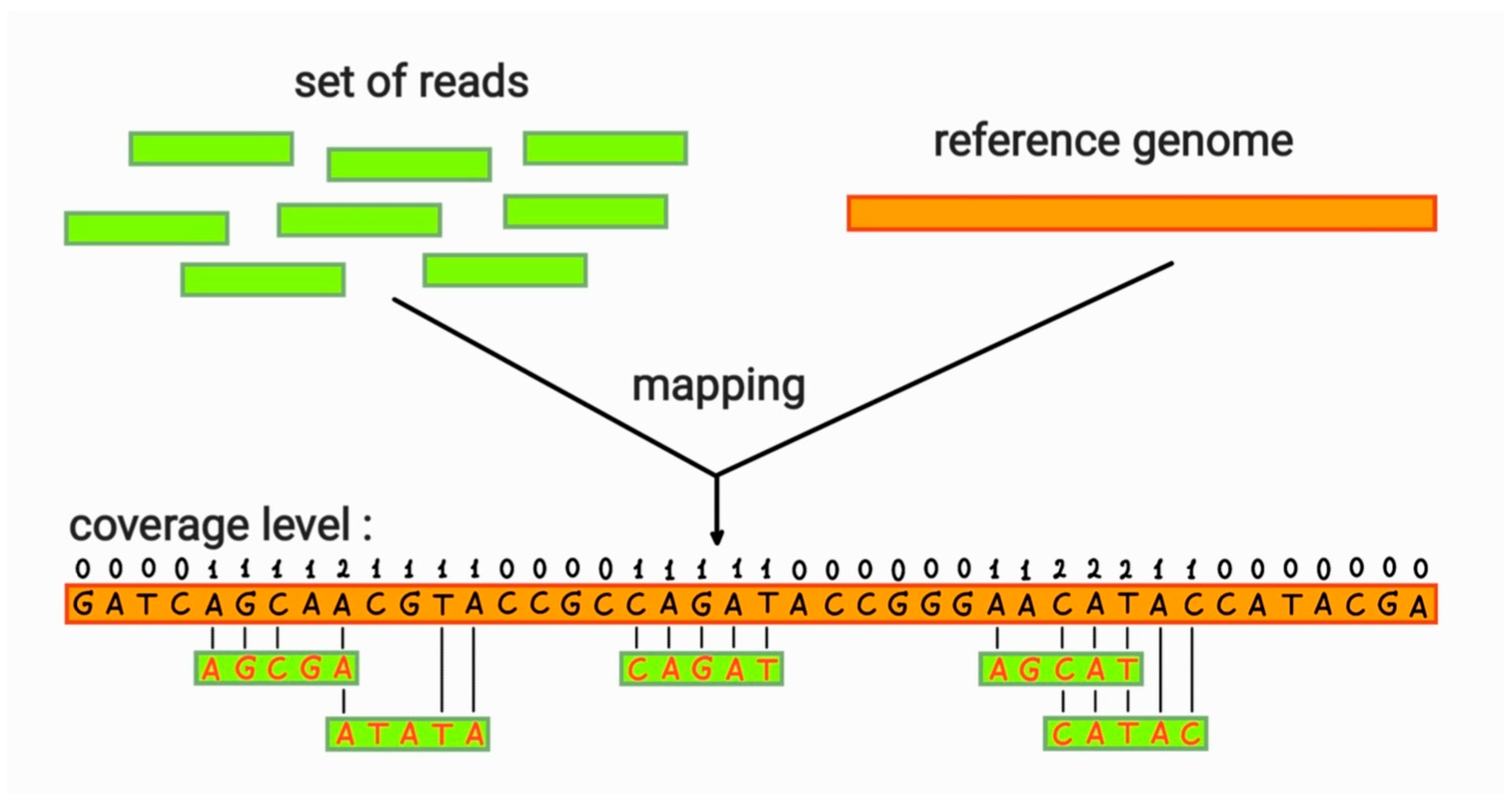 Algorithms 18 00610 g002