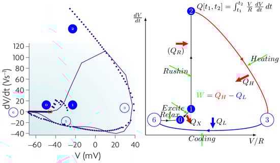 Algorithms 19 00006 g005