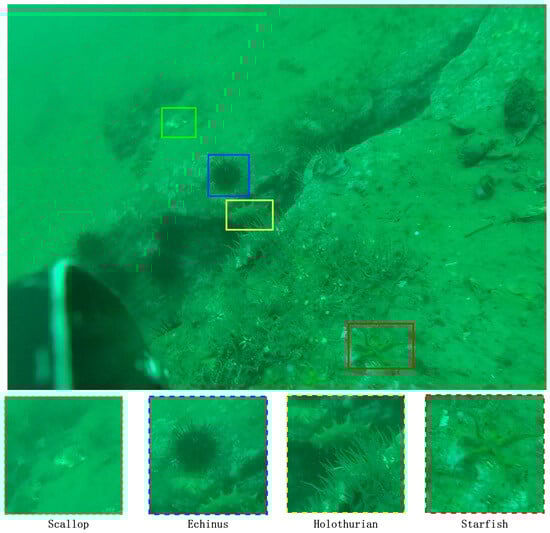 Algorithms 19 00113 g007