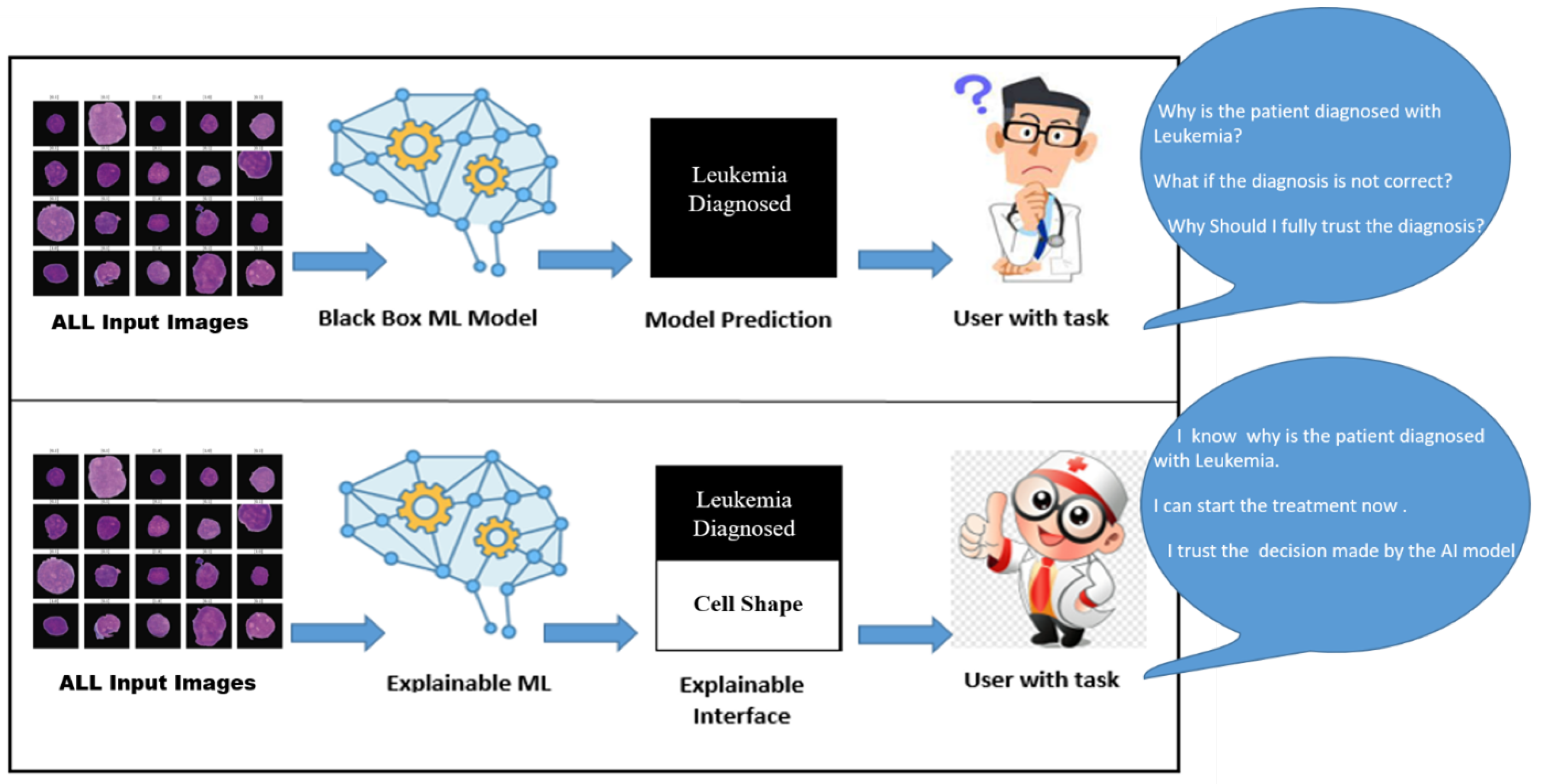 Algorithms 19 00162 g001