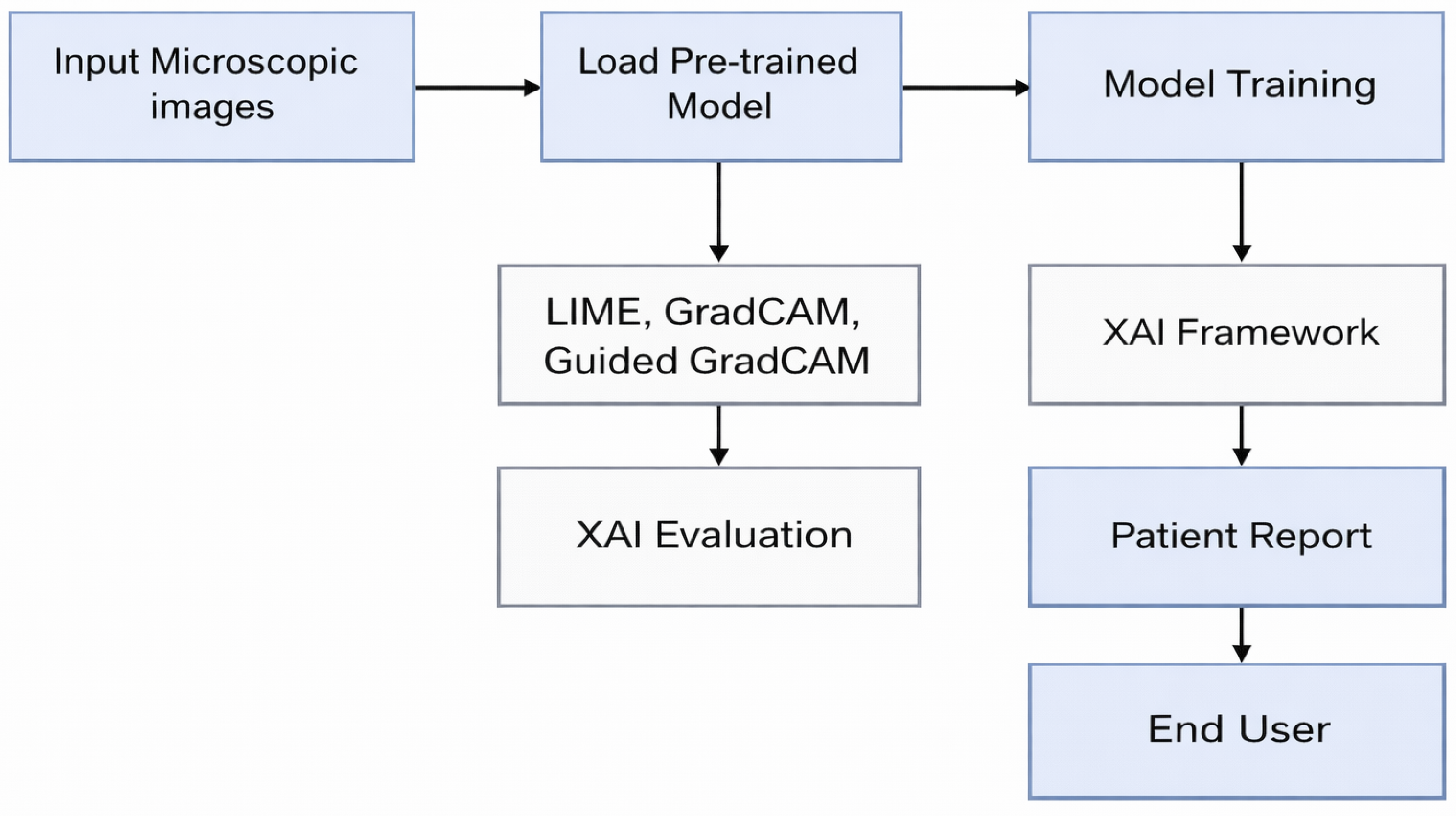 Algorithms 19 00162 g002