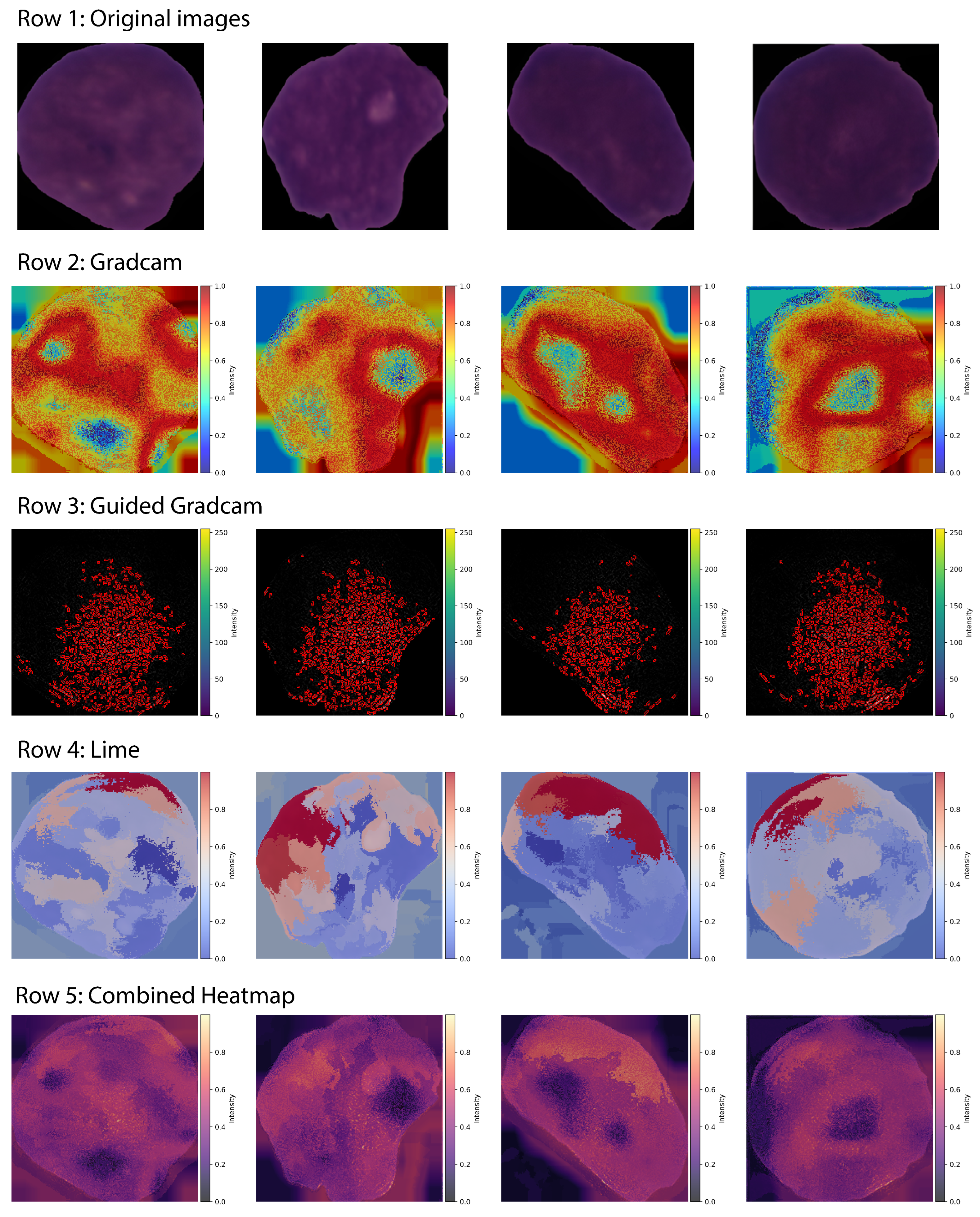 Algorithms 19 00162 g011