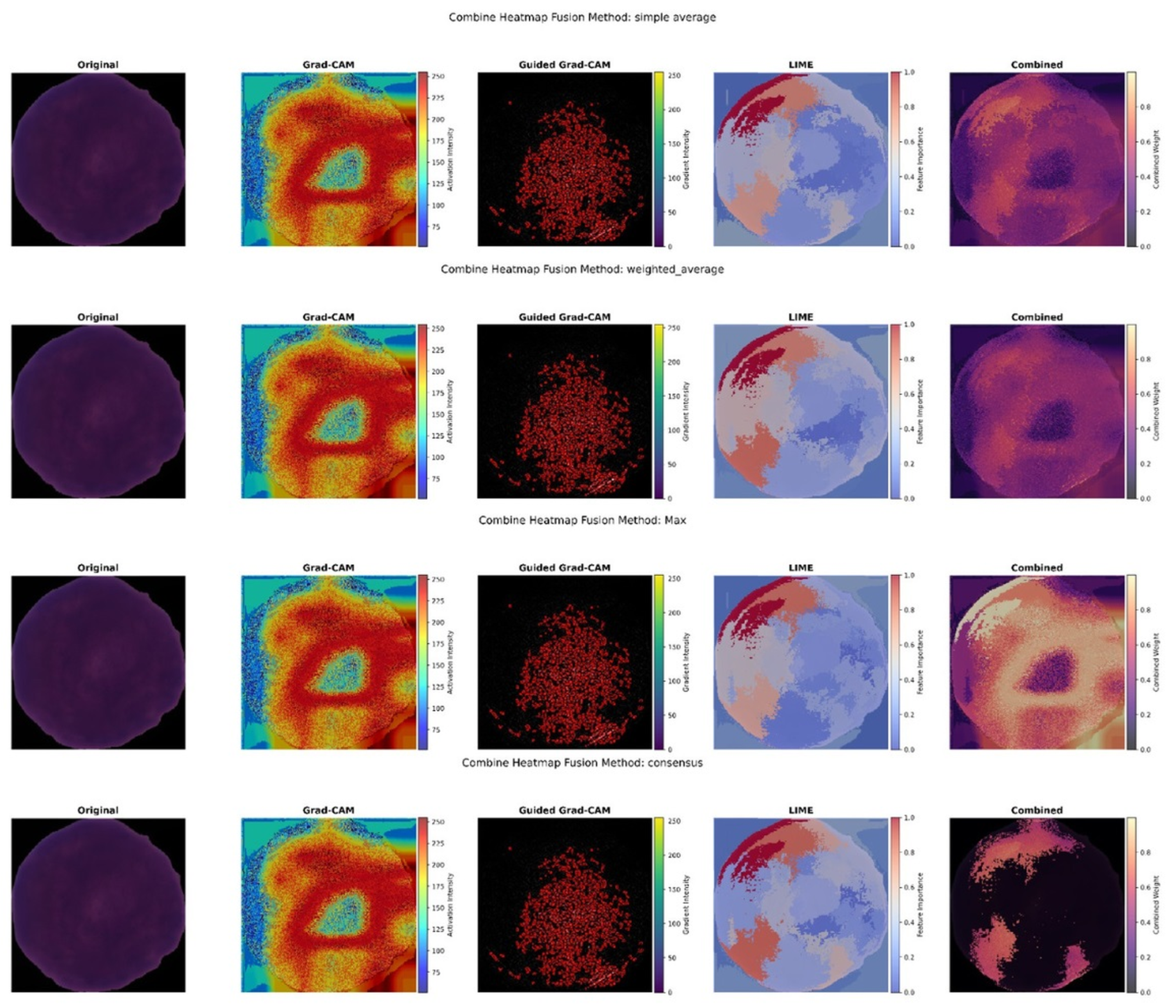 Algorithms 19 00162 g012