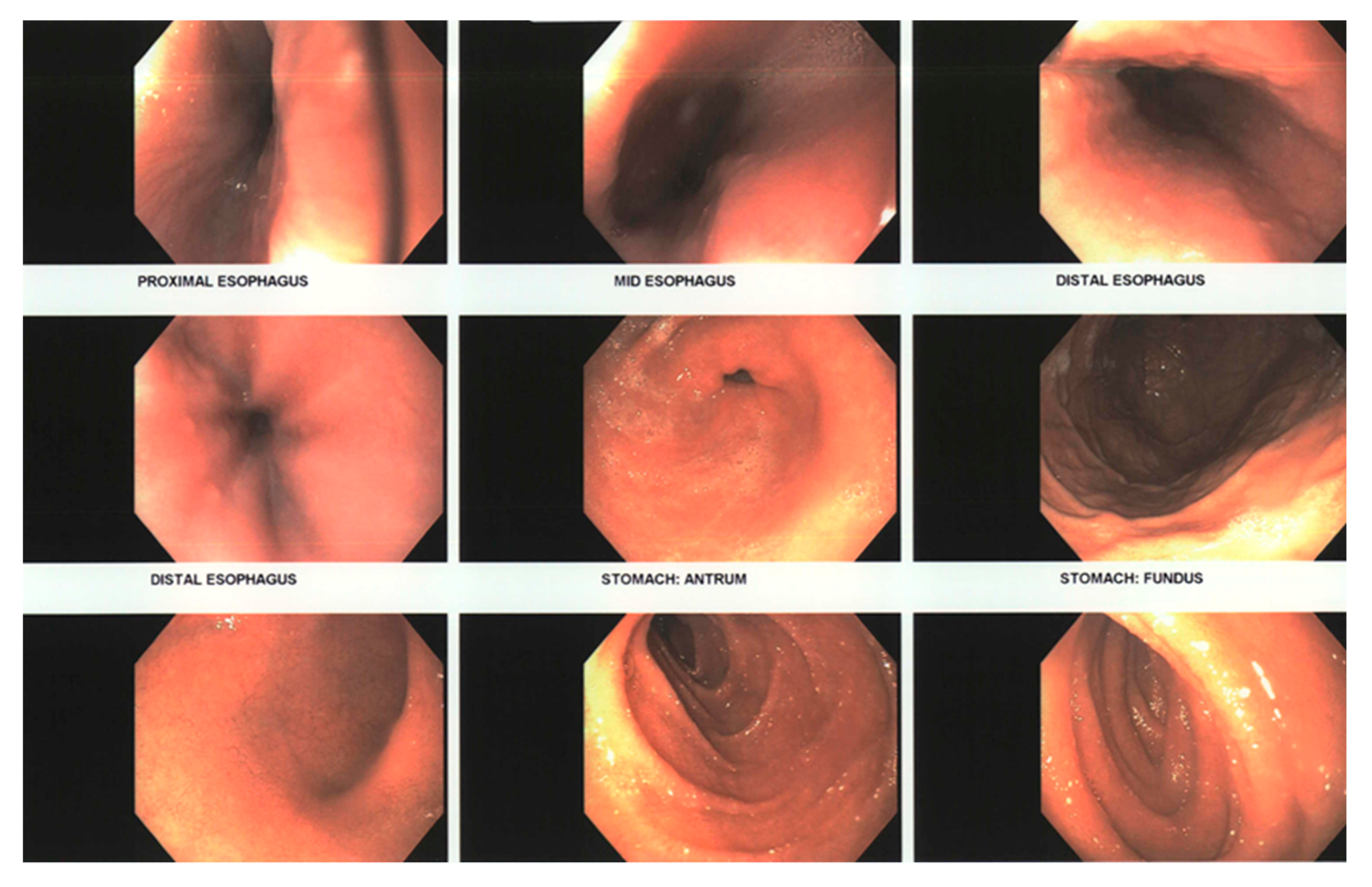Allergies 01 00016 g001