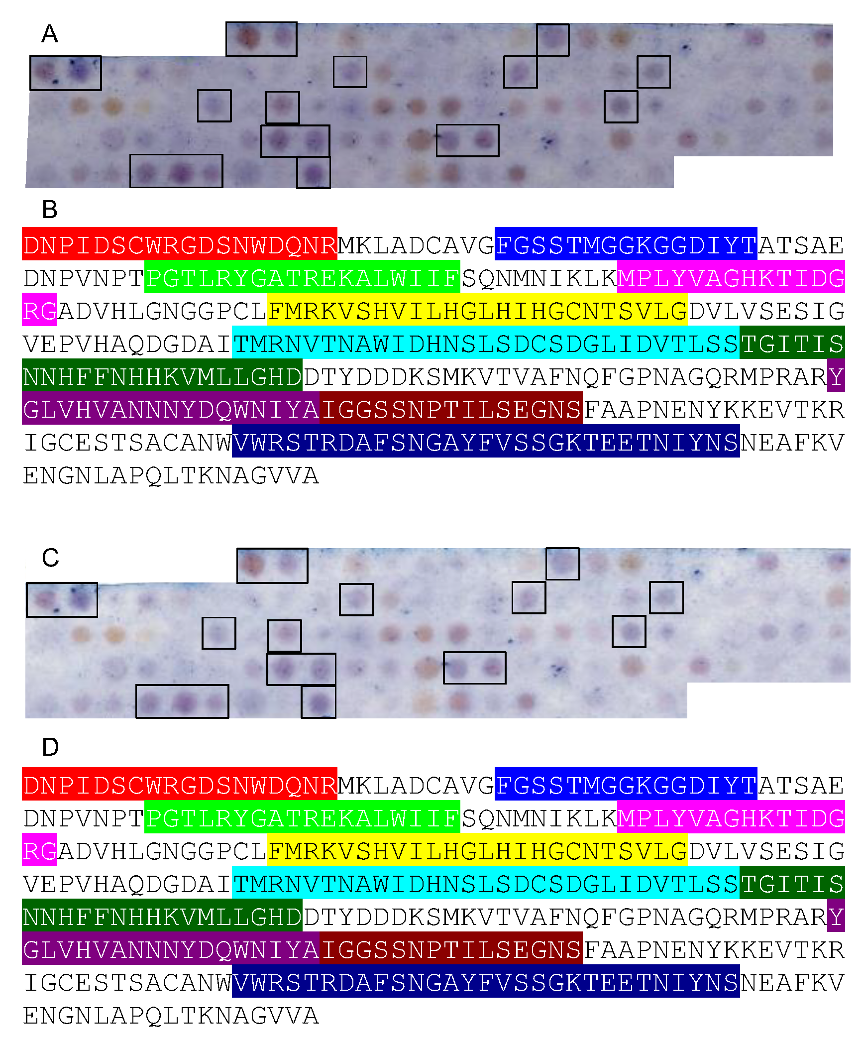 Allergies 02 00010 g003