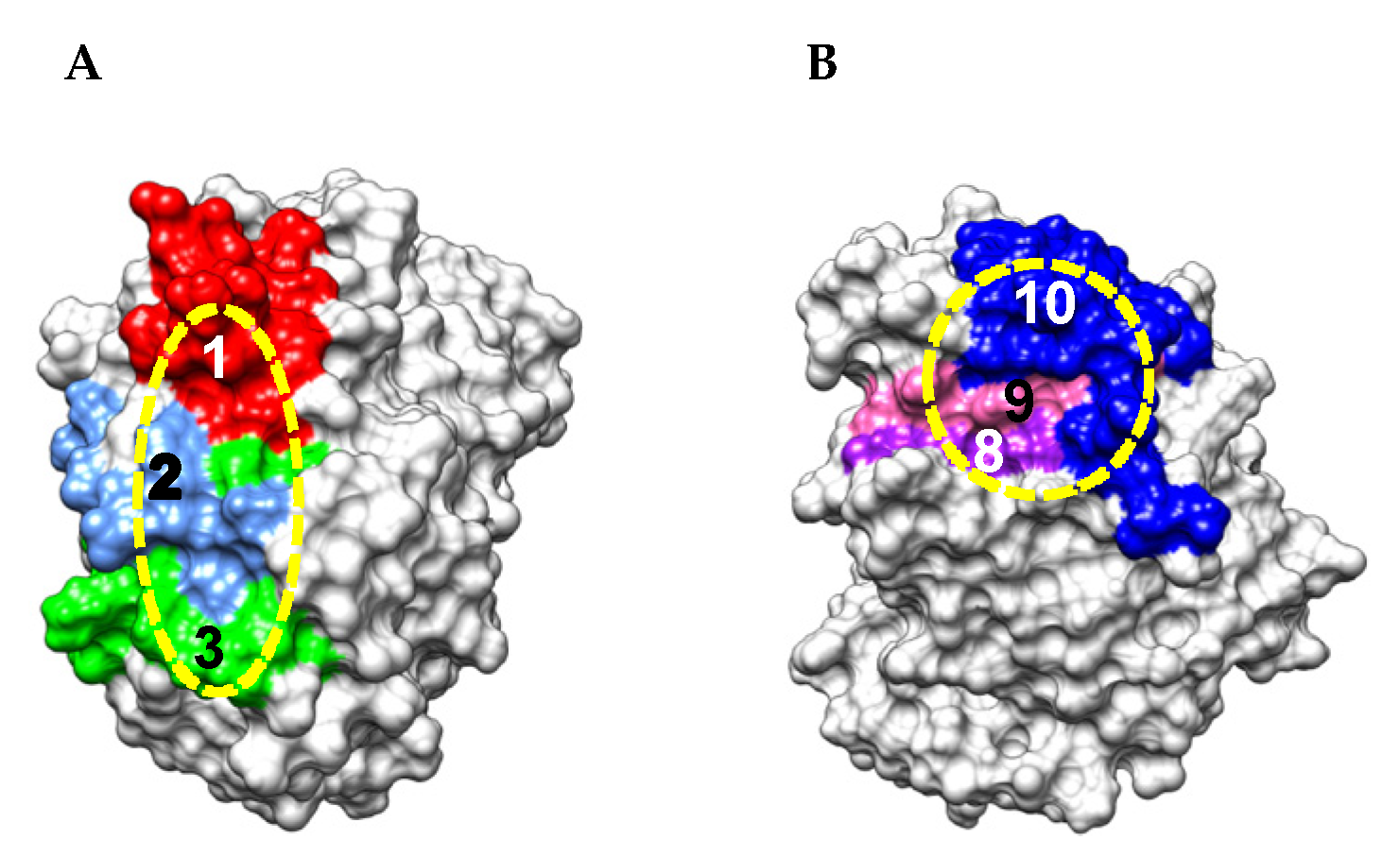 Allergies 02 00010 g006