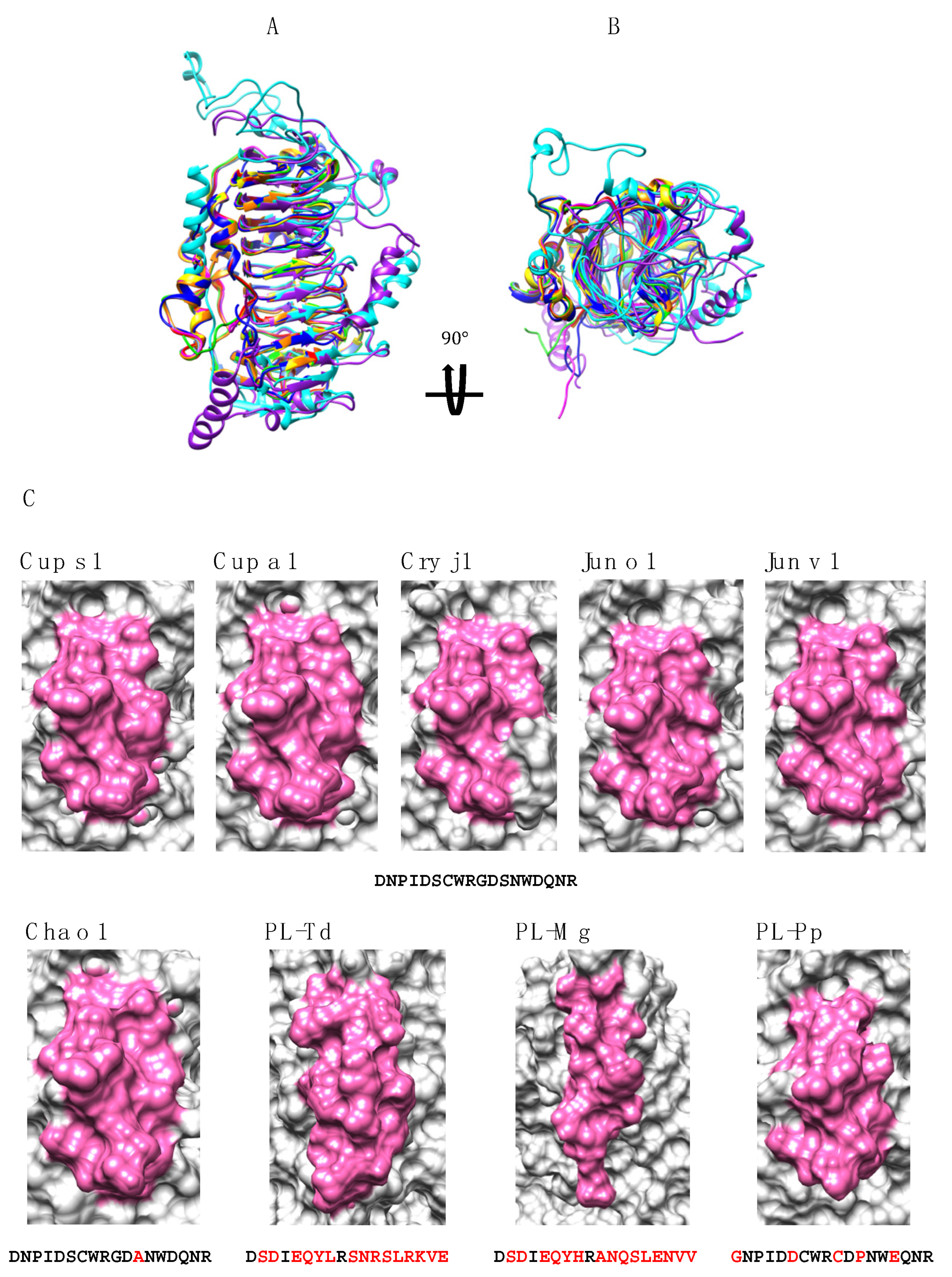 Allergies 02 00010 g008