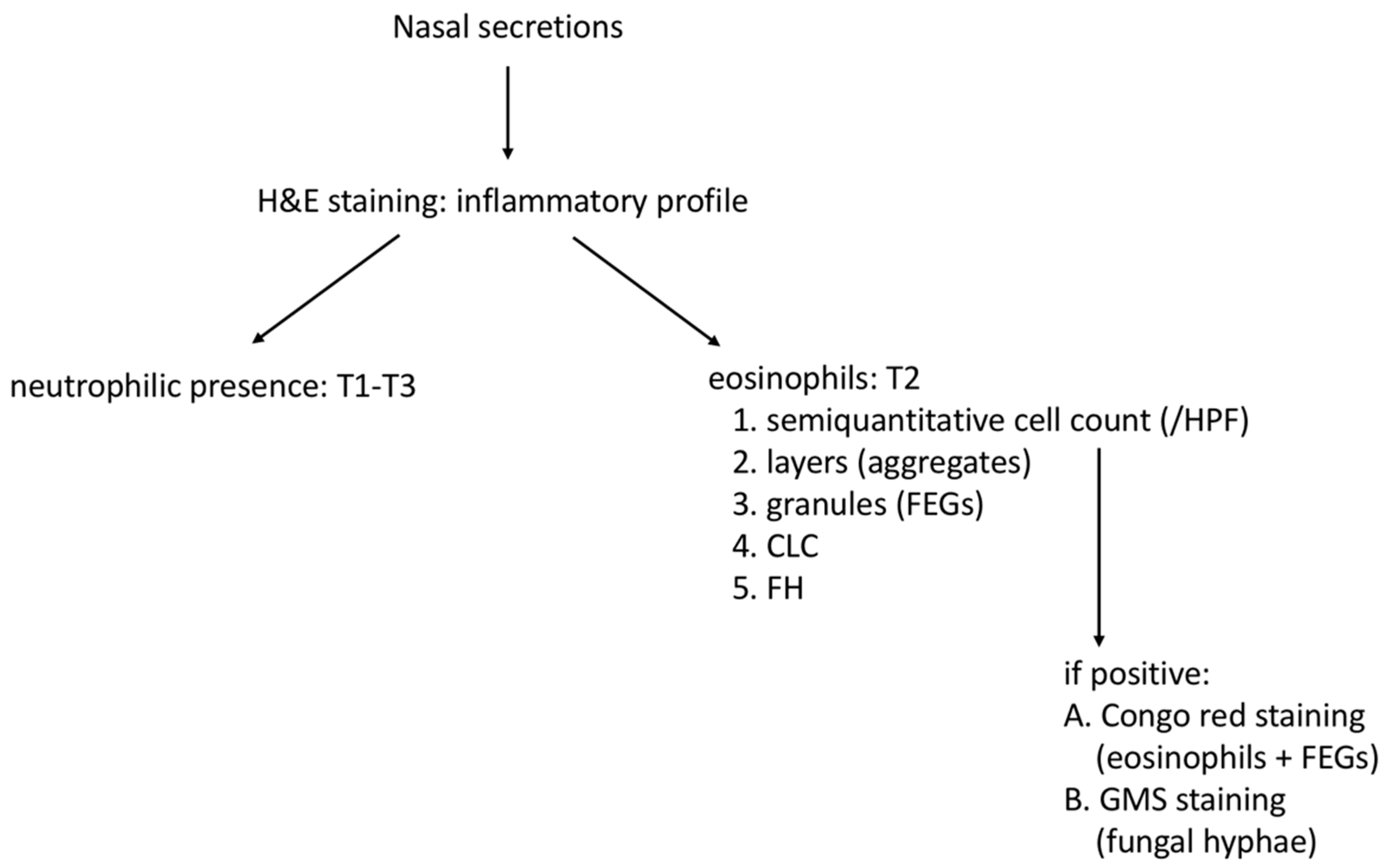 Allergies 02 00012 g004