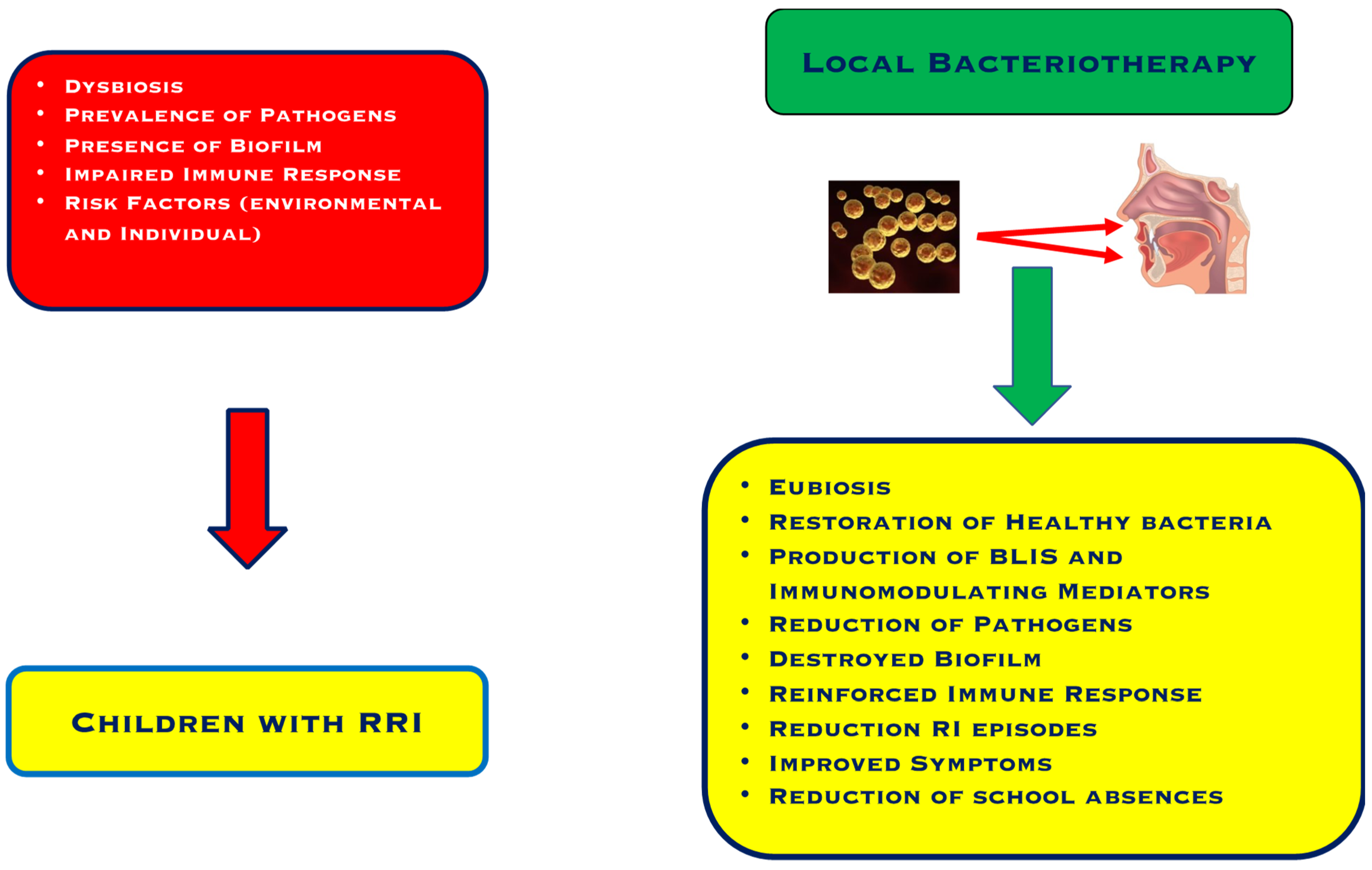 Allergies 02 00013 g001 Allergies 02 00013 g001