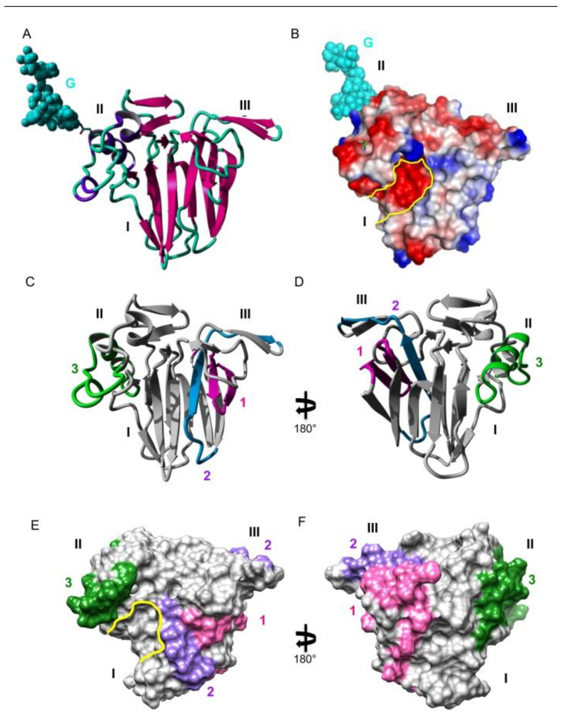 Allergies 03 00002 g001