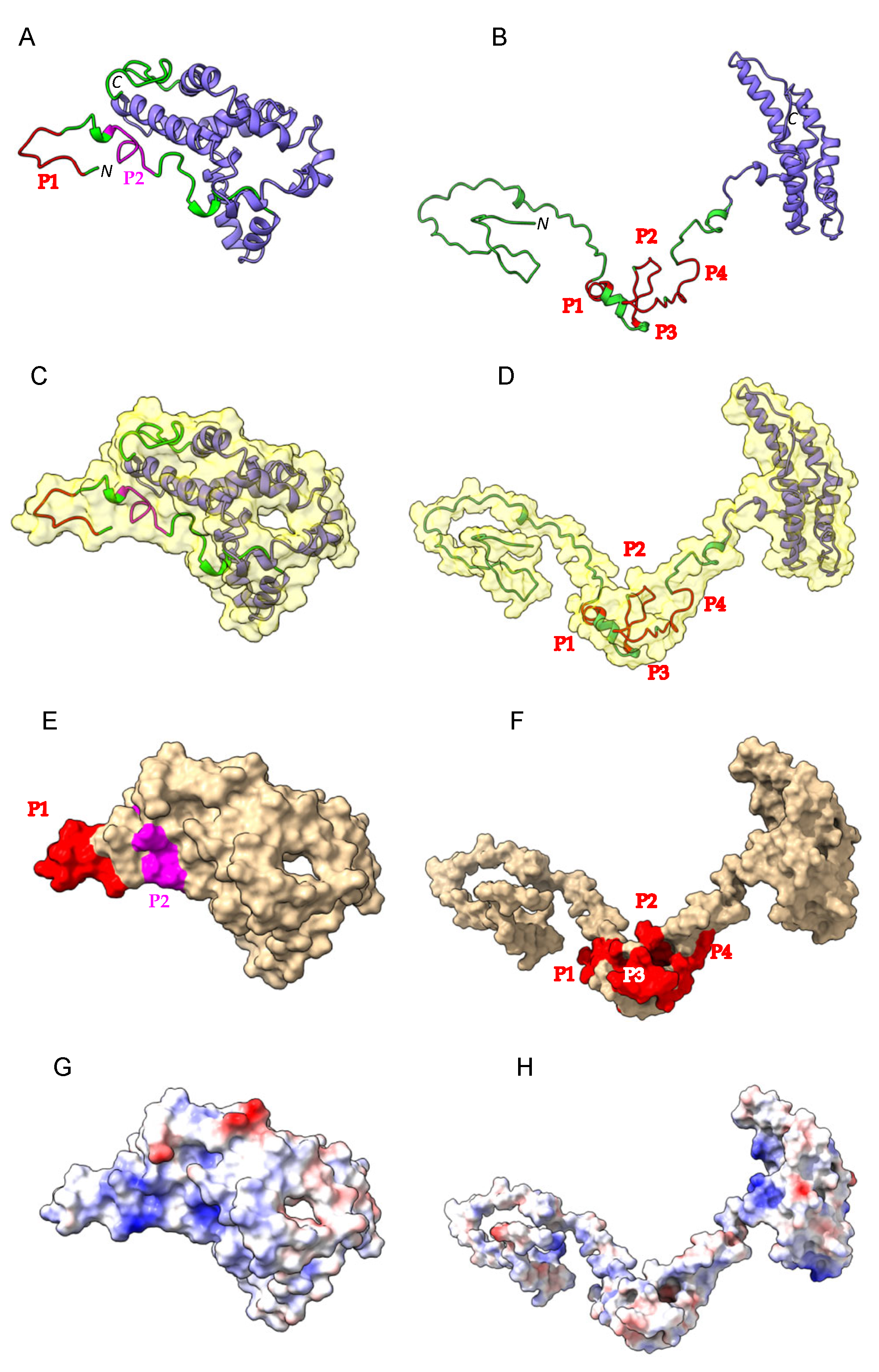 Allergies 03 00004 g003