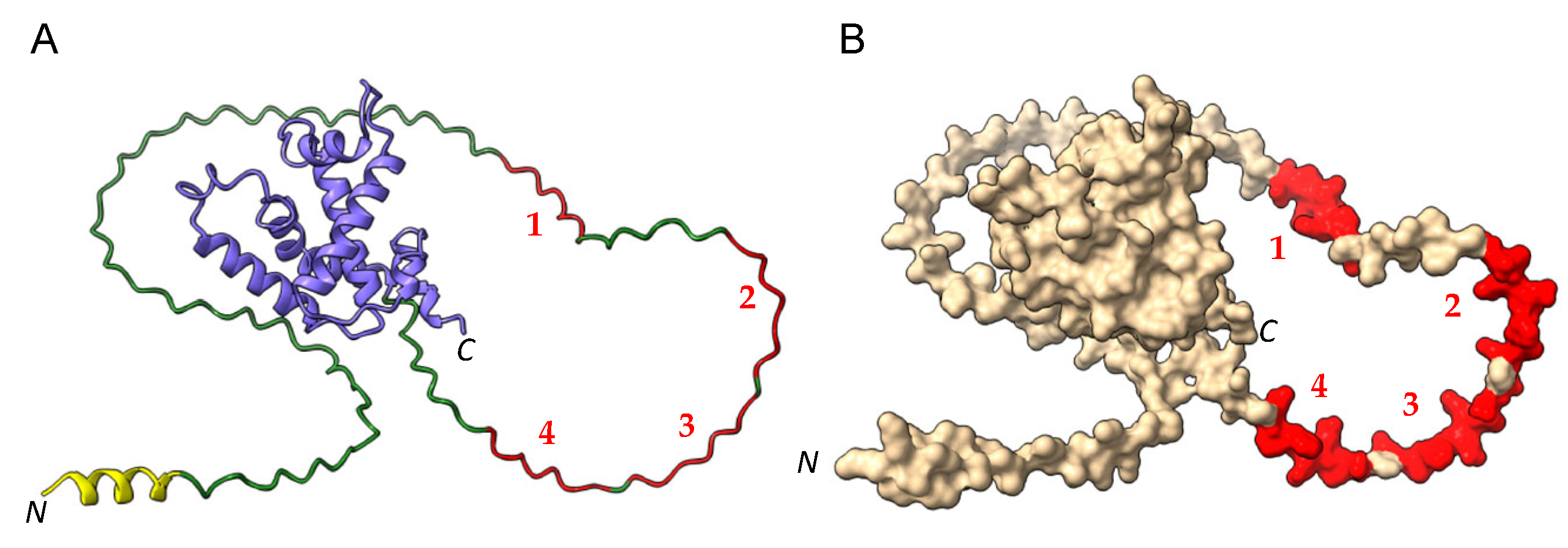 Allergies 03 00004 g004