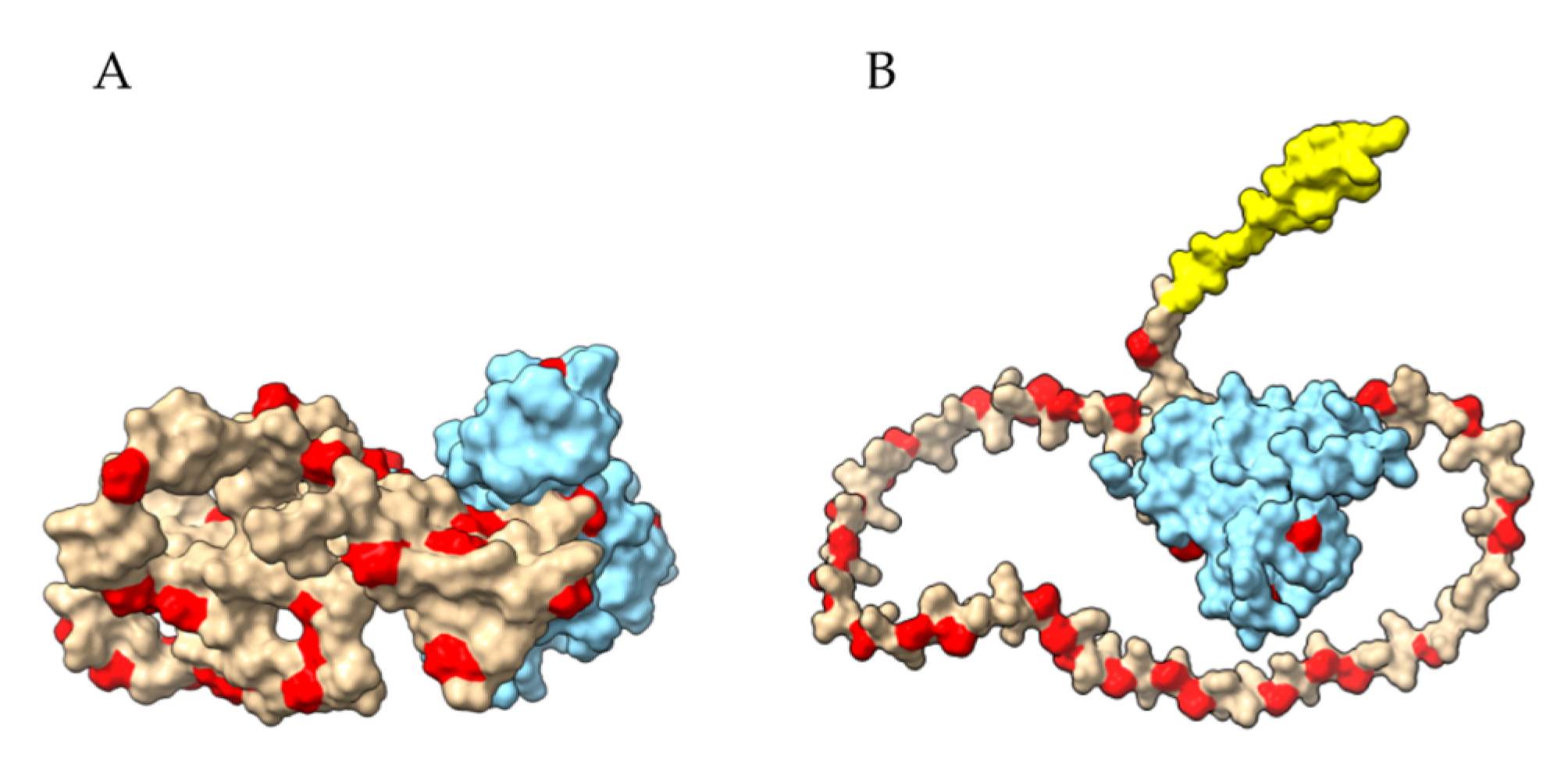 Allergies 03 00004 g011