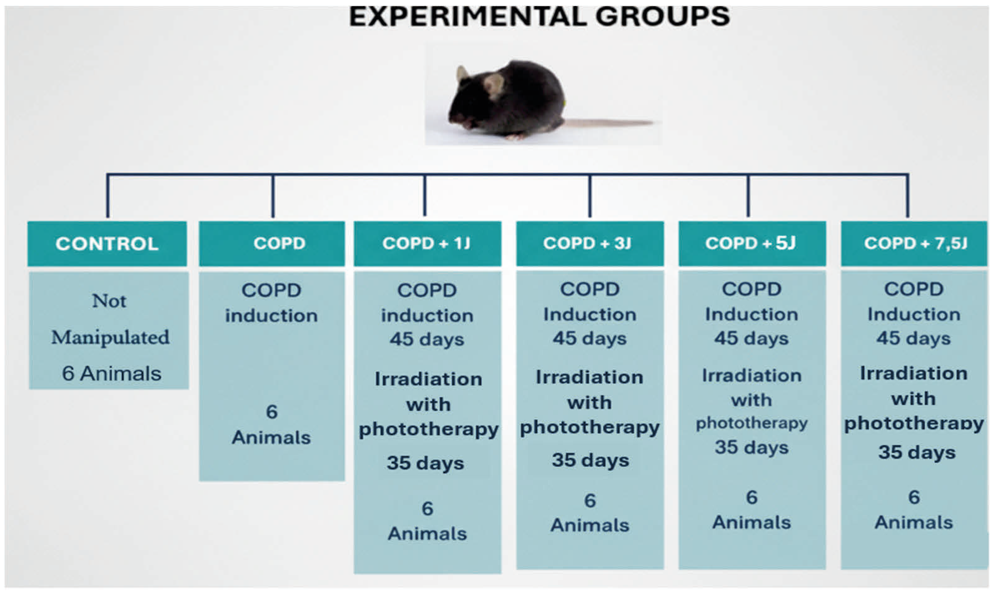 Allergies 05 00033 g001