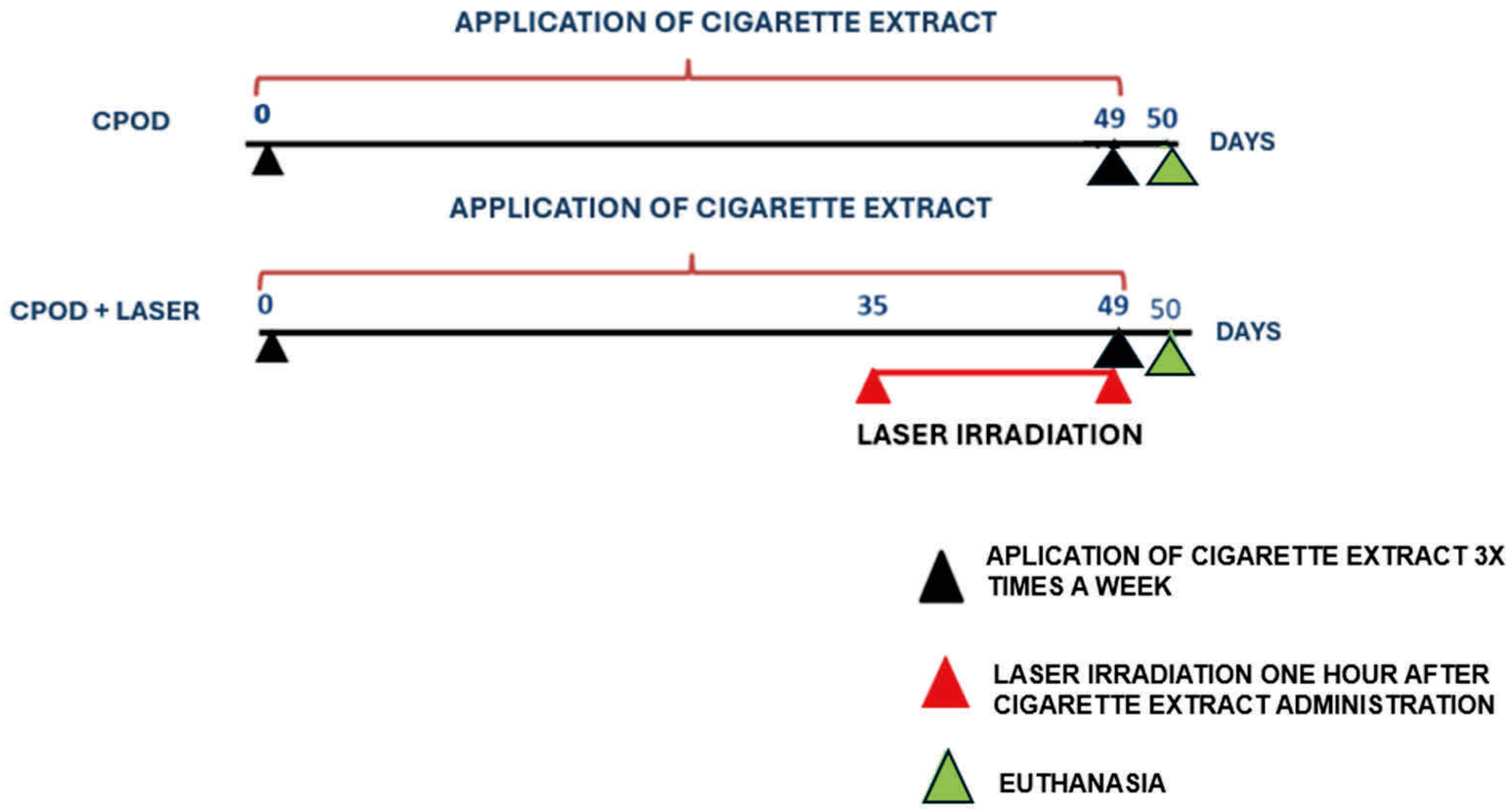 Allergies 05 00033 g002