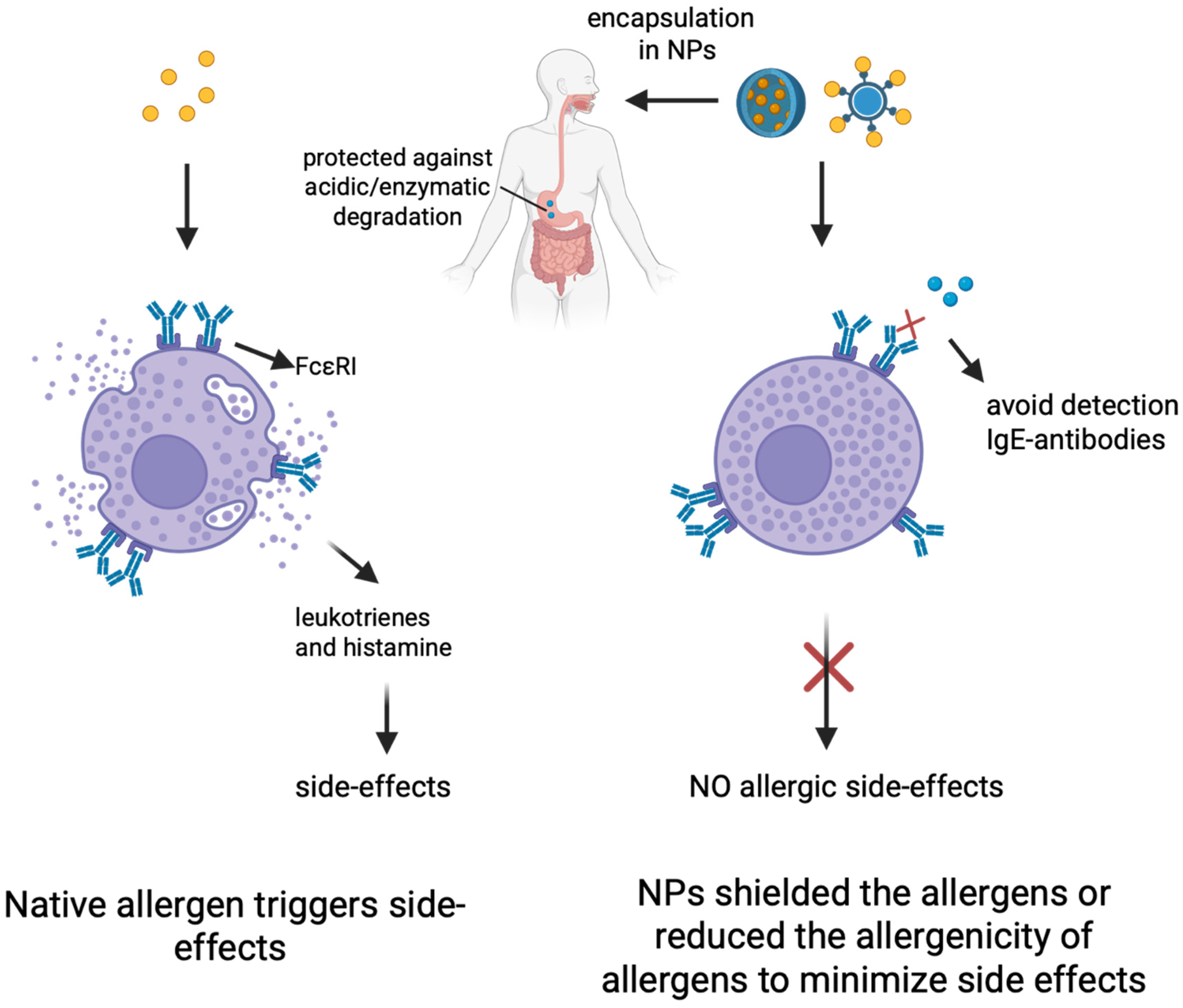 Allergies 05 00044 g002