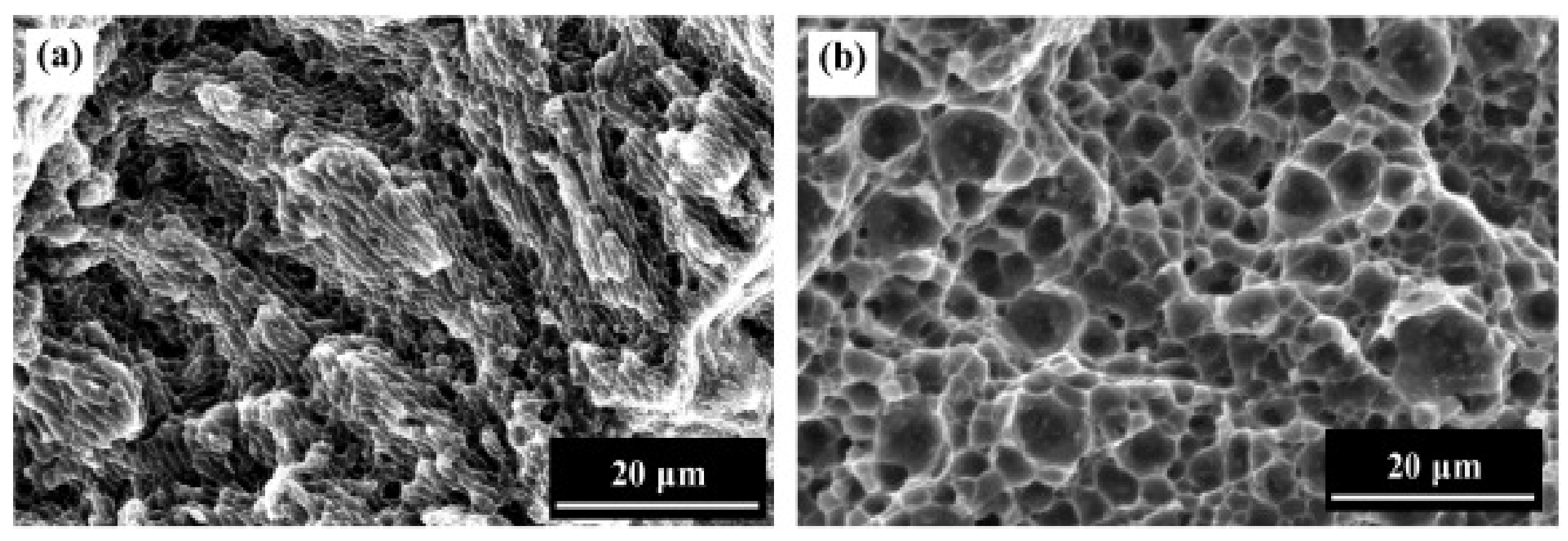 Alloys 01 00010 g016