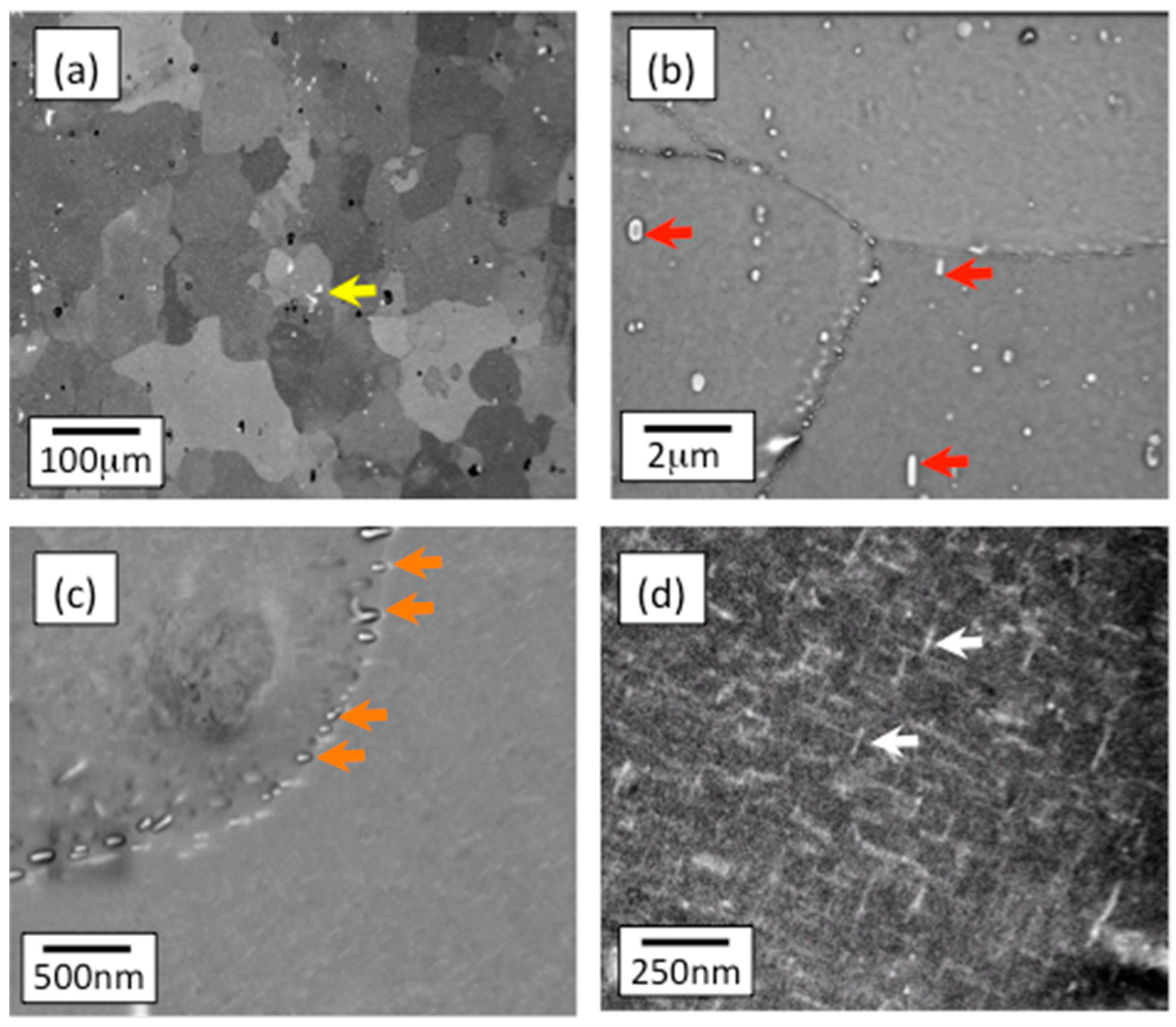 Alloys 01 00011 g006