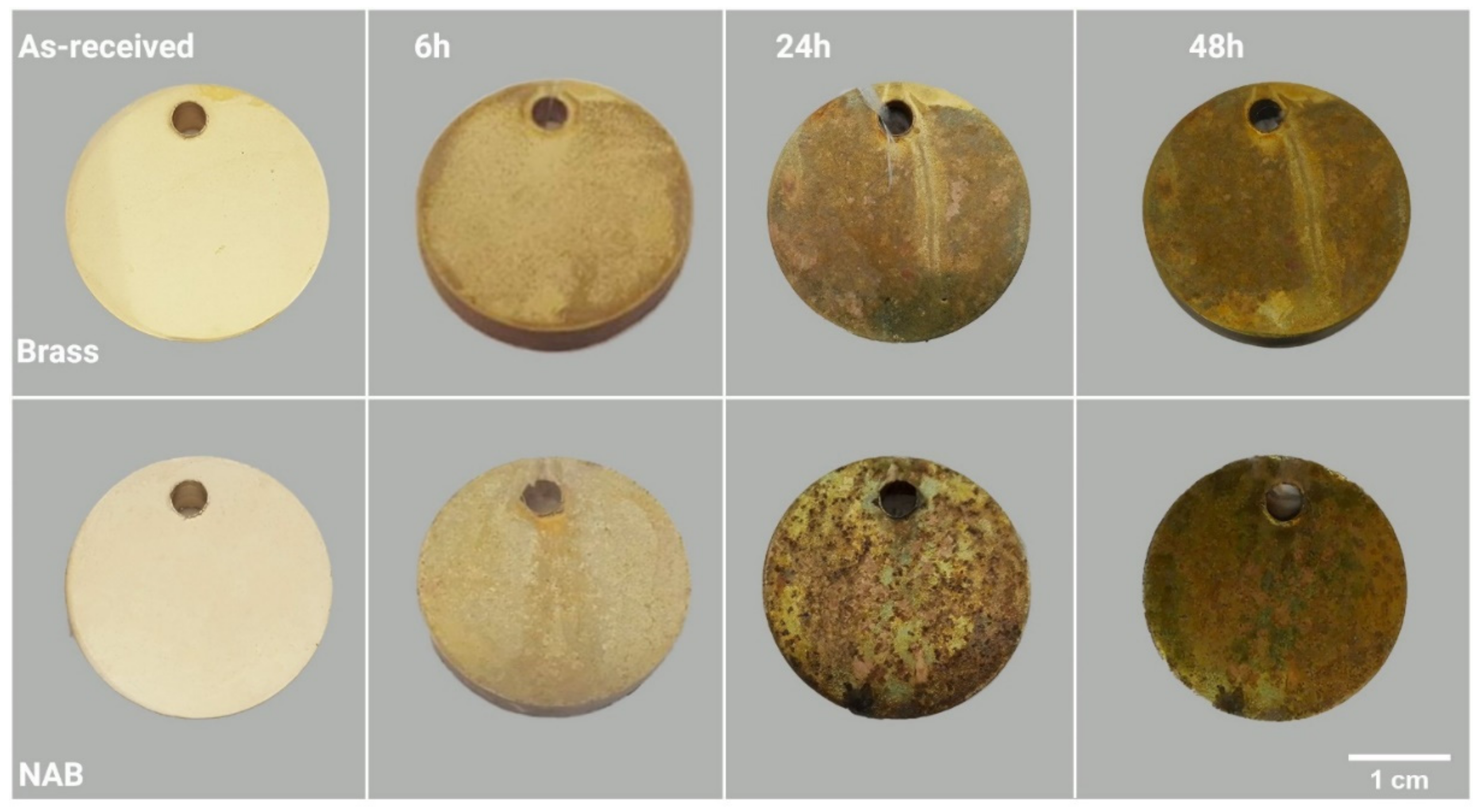 Alloys 01 00012 g005