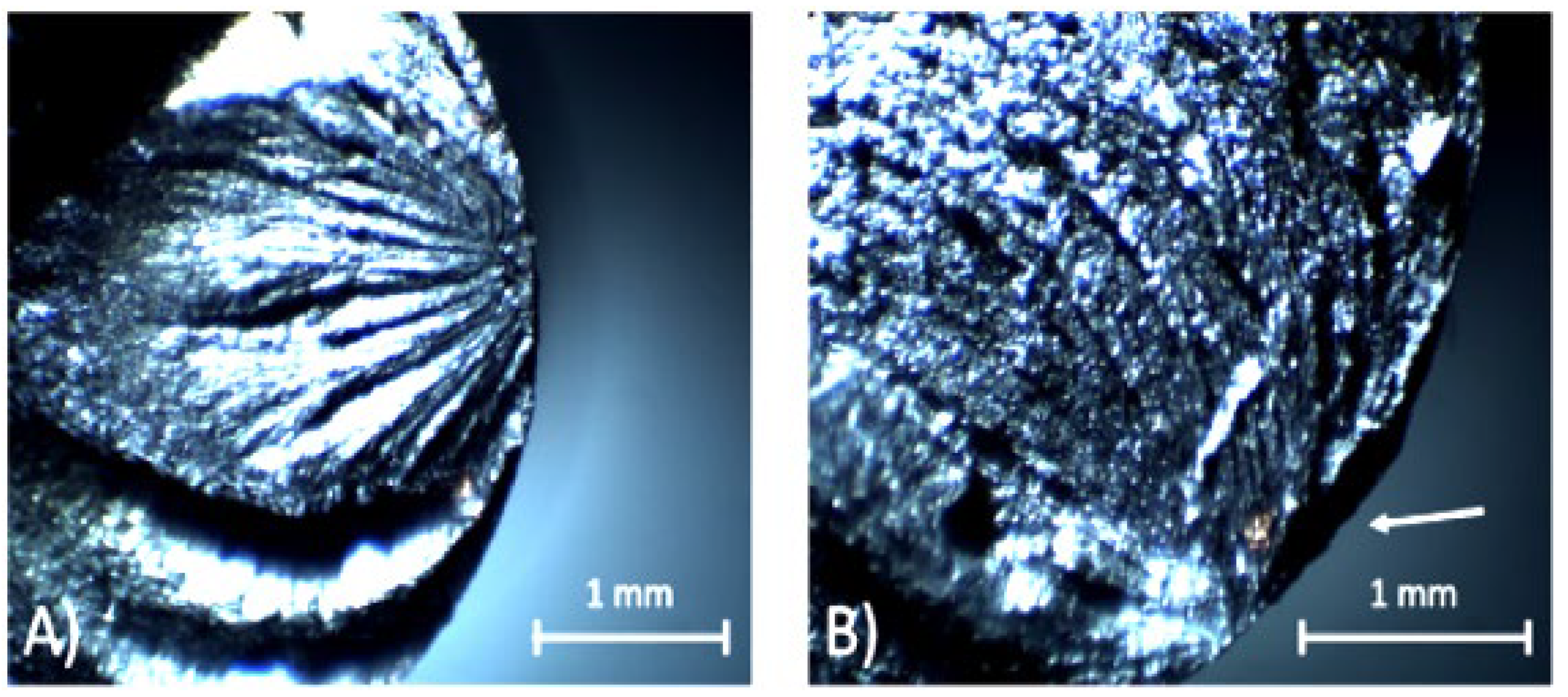 Alloys 04 00018 g027 Alloys 04 00018 g027
