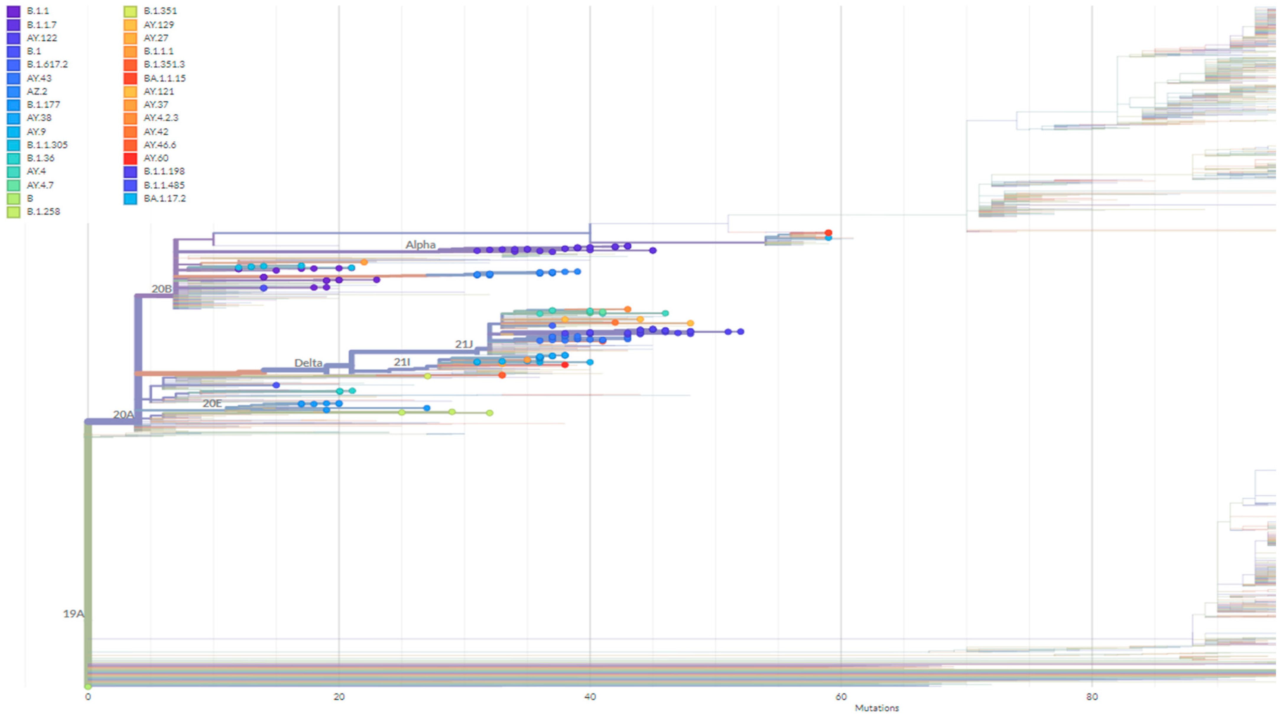 Amh 69 00026 g004 Amh 69 00026 g004