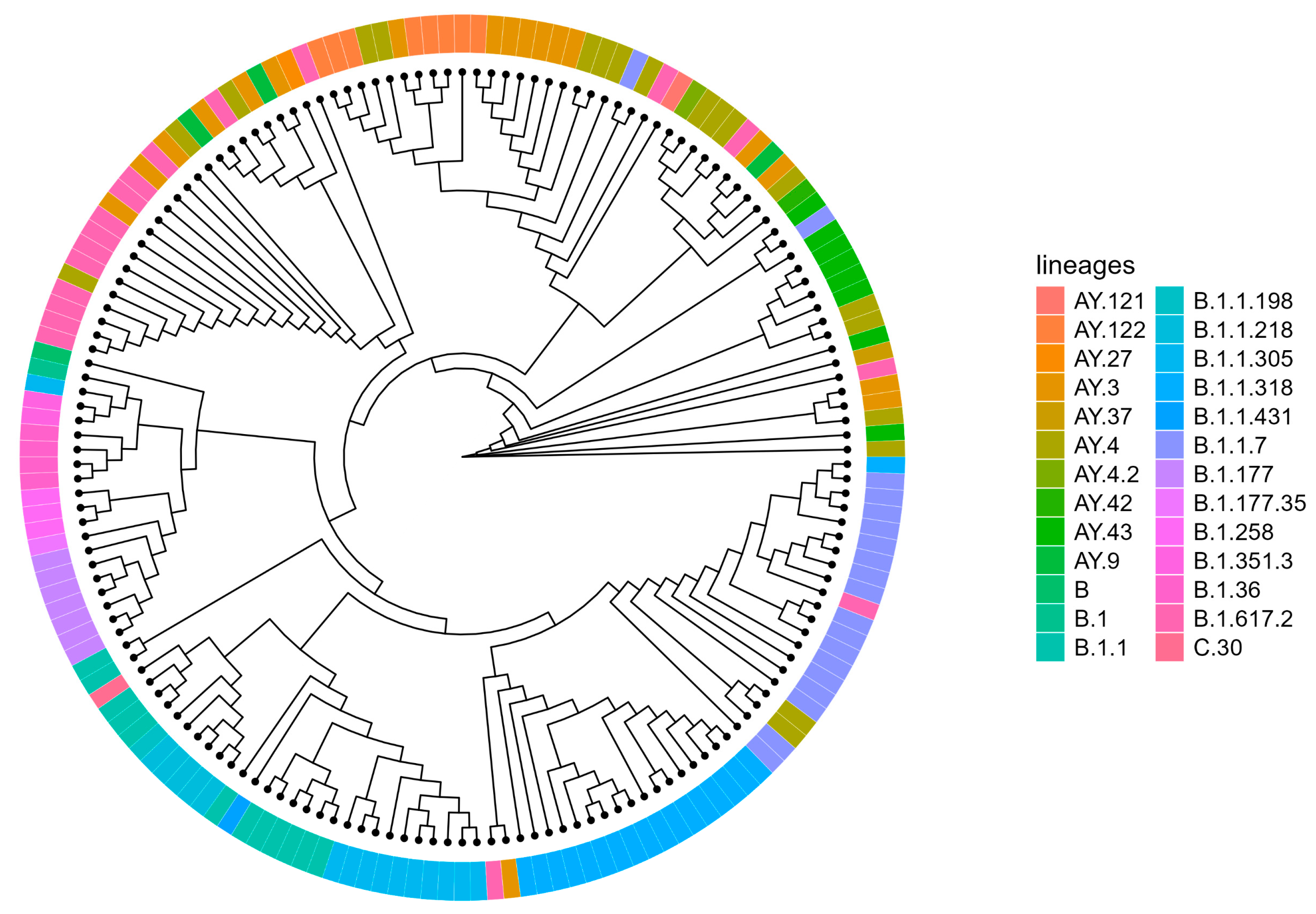 Amh 69 00026 g005 Amh 69 00026 g005