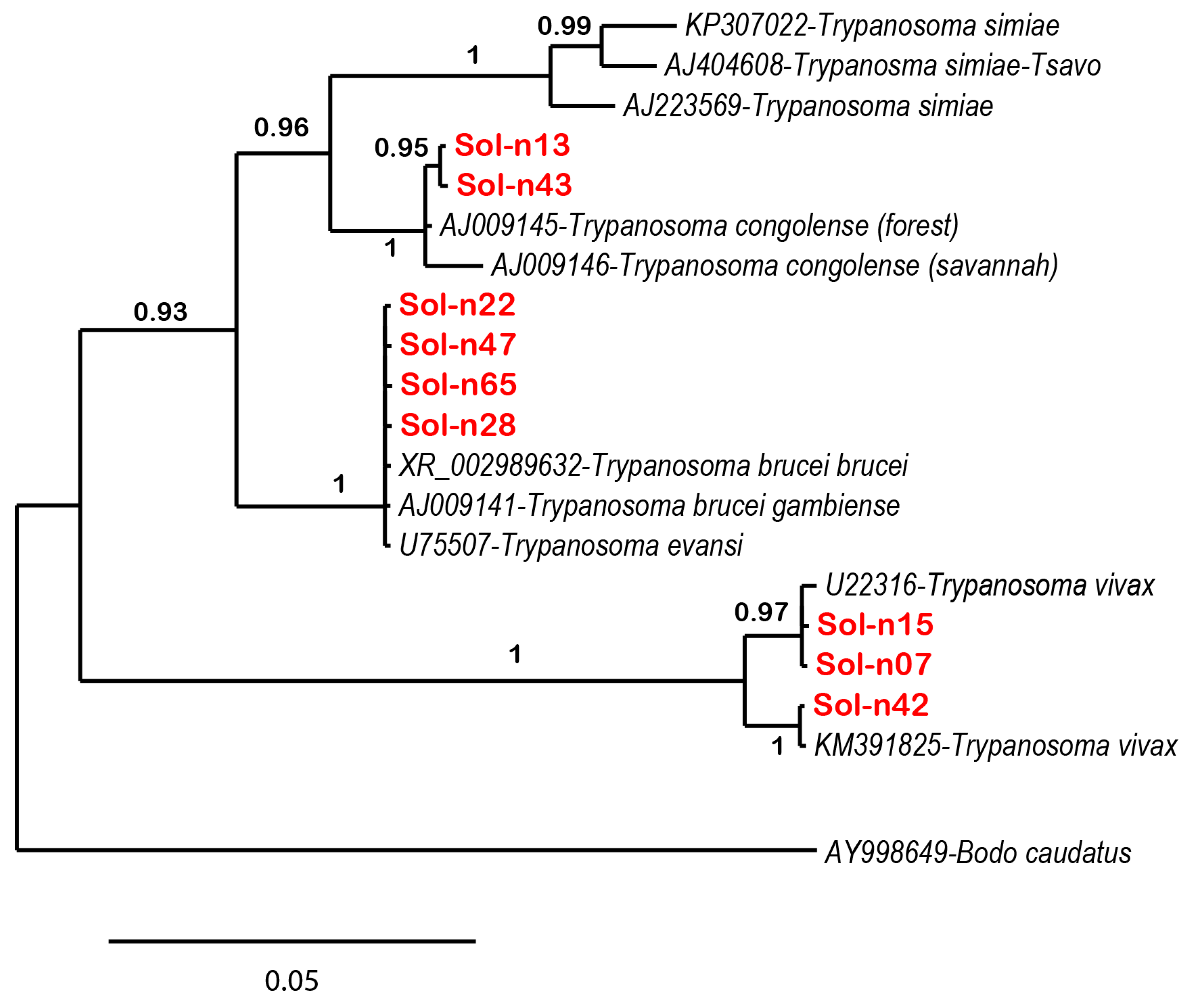 Amh 70 00016 g002 Amh 70 00016 g002