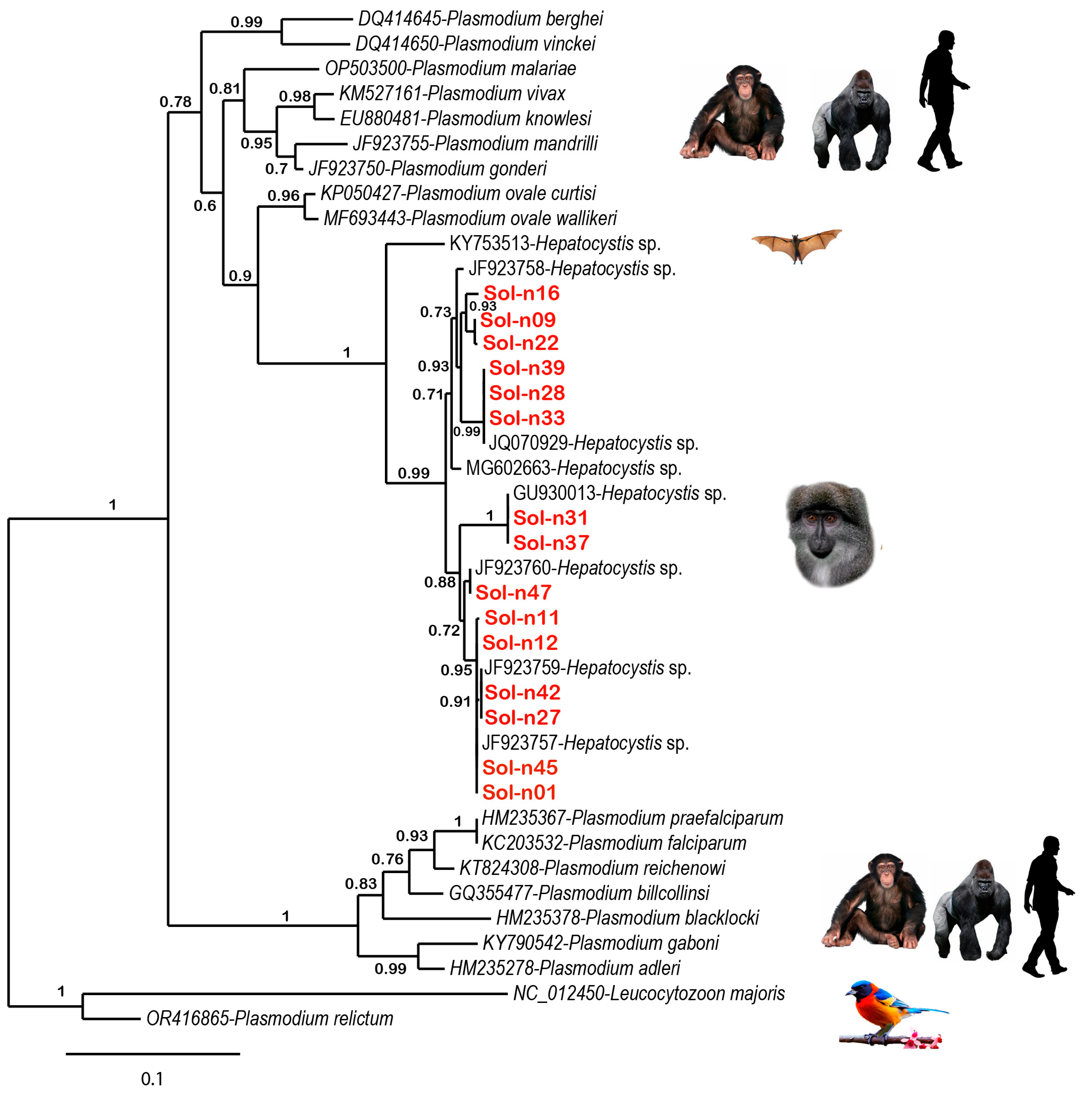 Amh 70 00016 g003 Amh 70 00016 g003