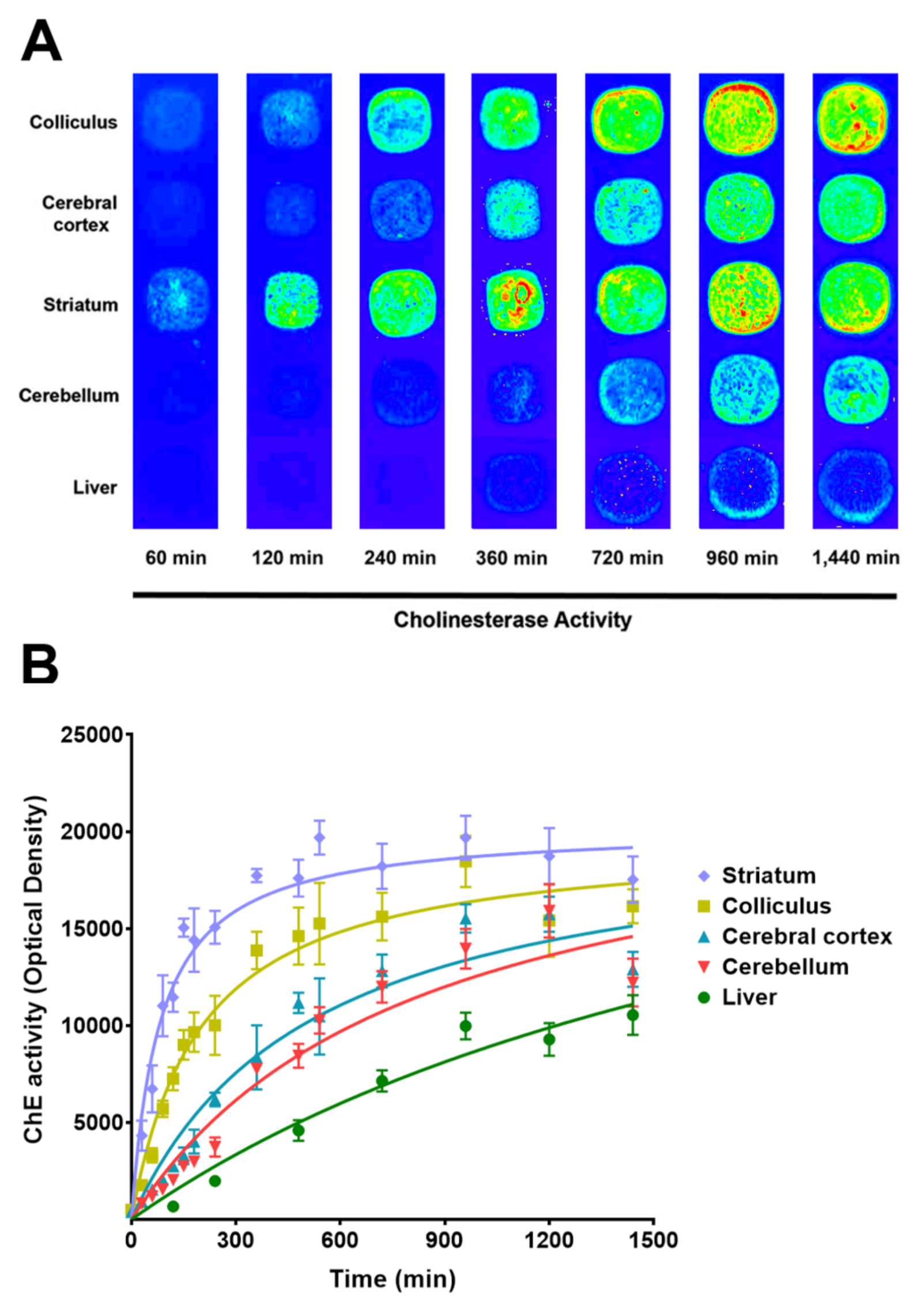 Analytica 02 00003 g001