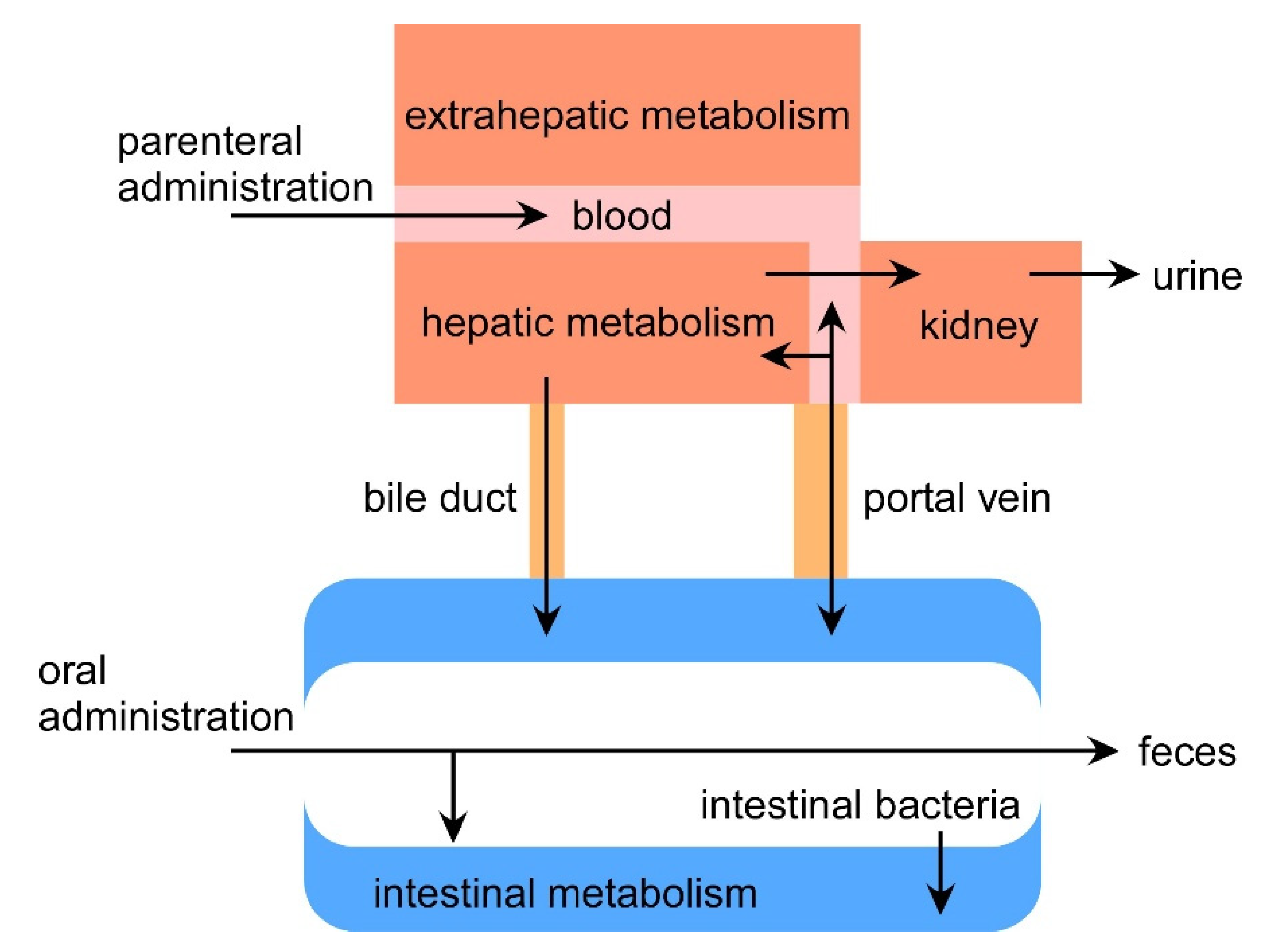 Analytica 02 00008 g004