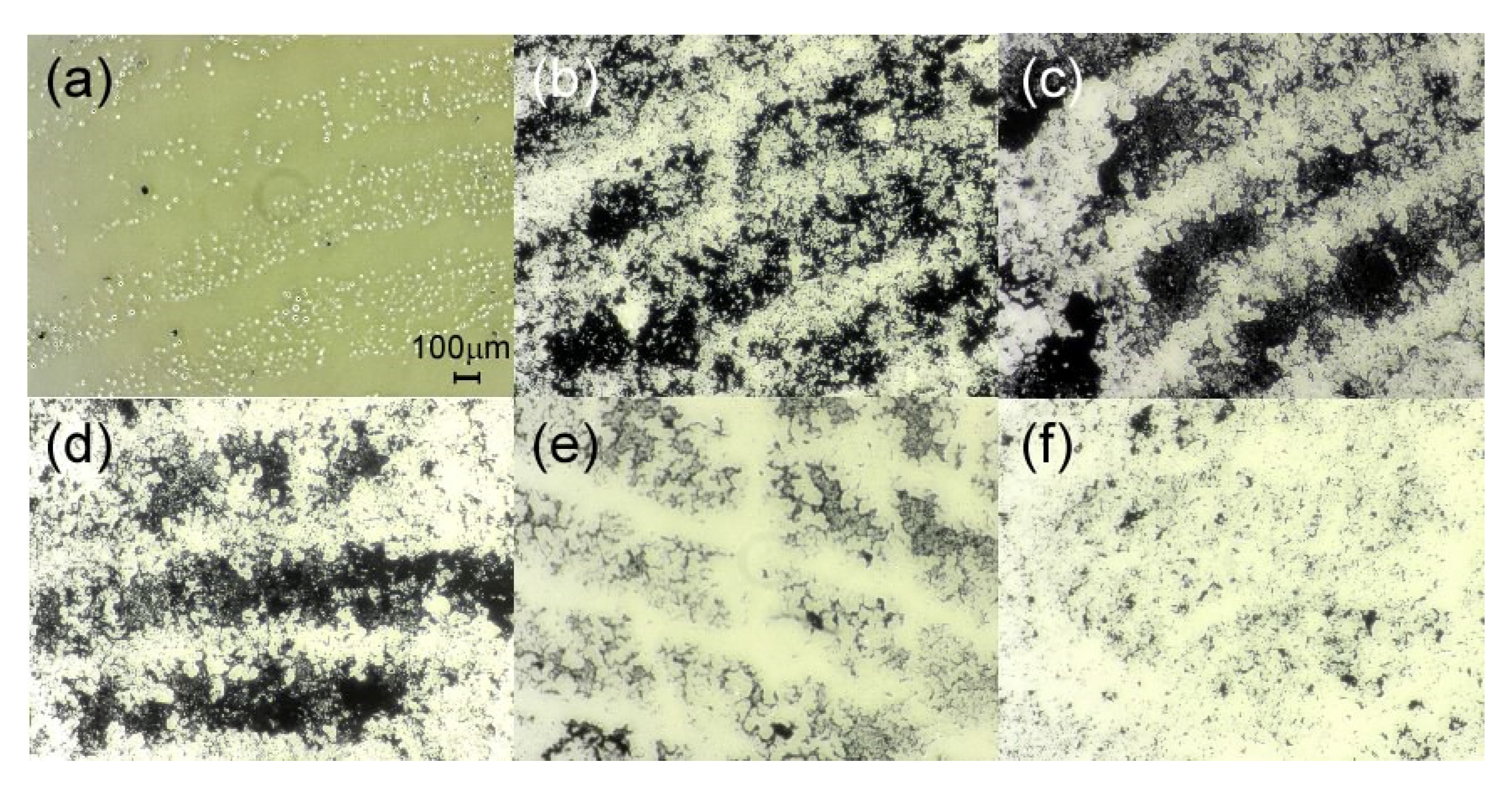 Analytica 02 00008 g006