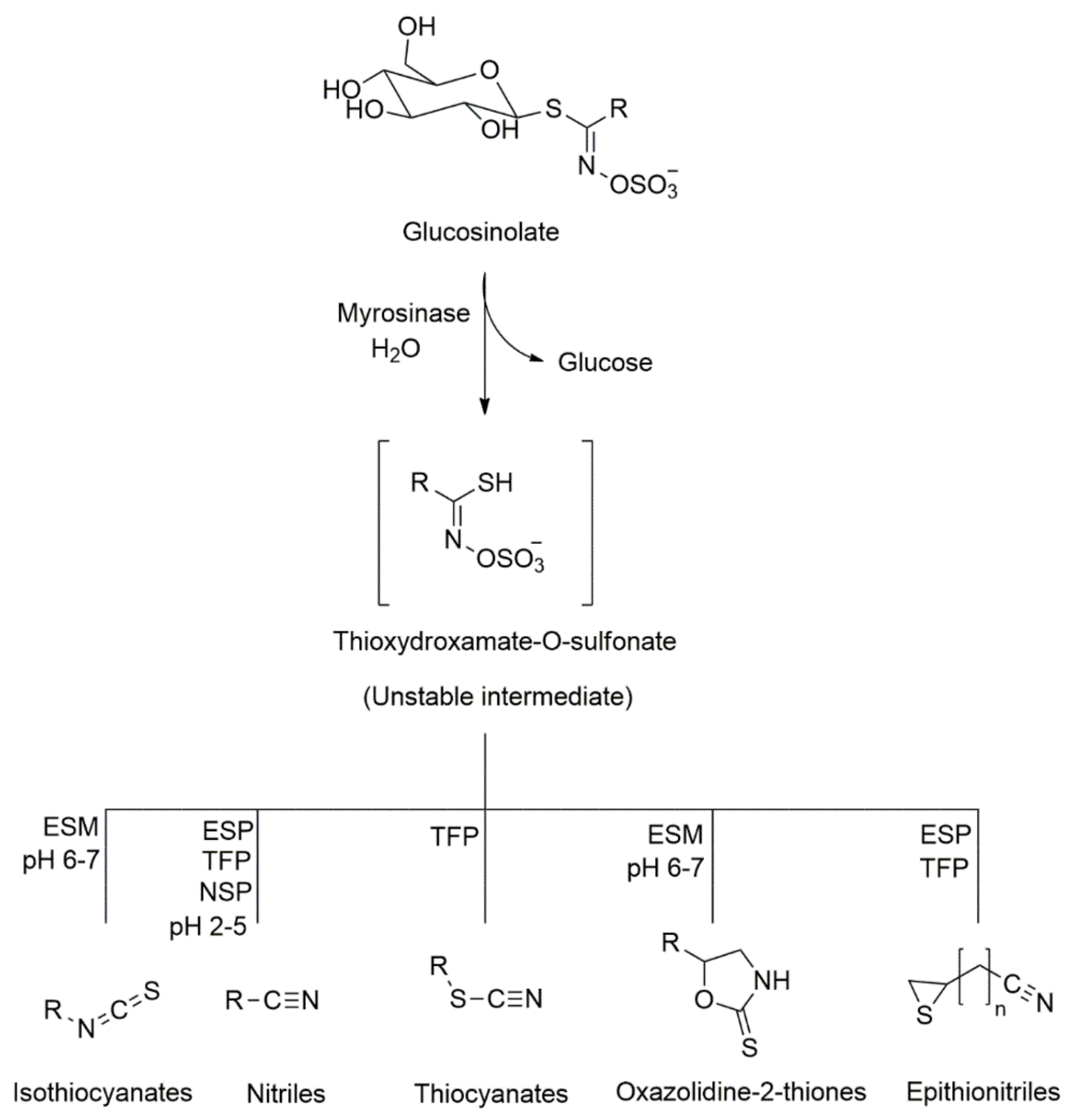 Analytica 02 00011 g001