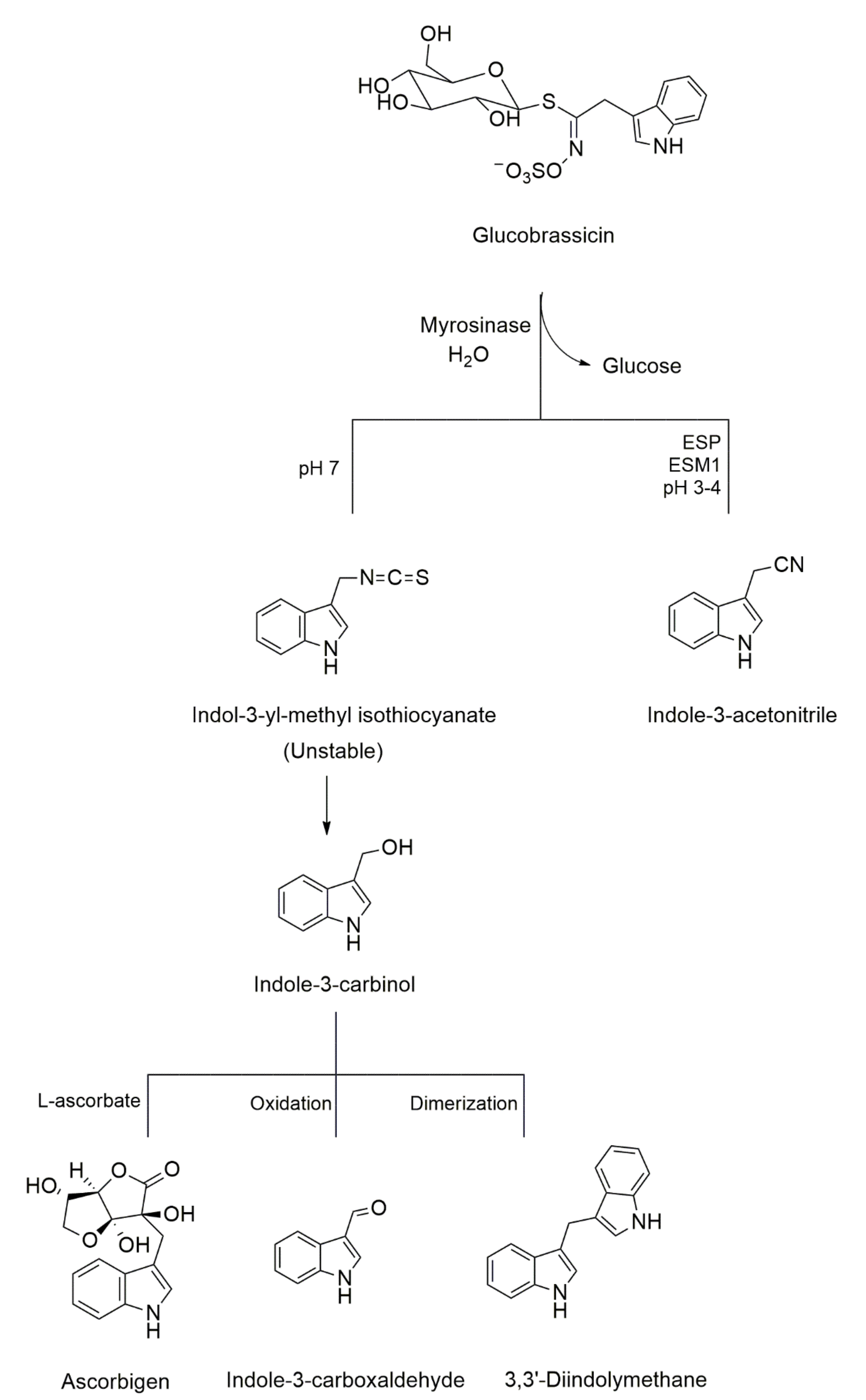 Analytica 02 00011 g002