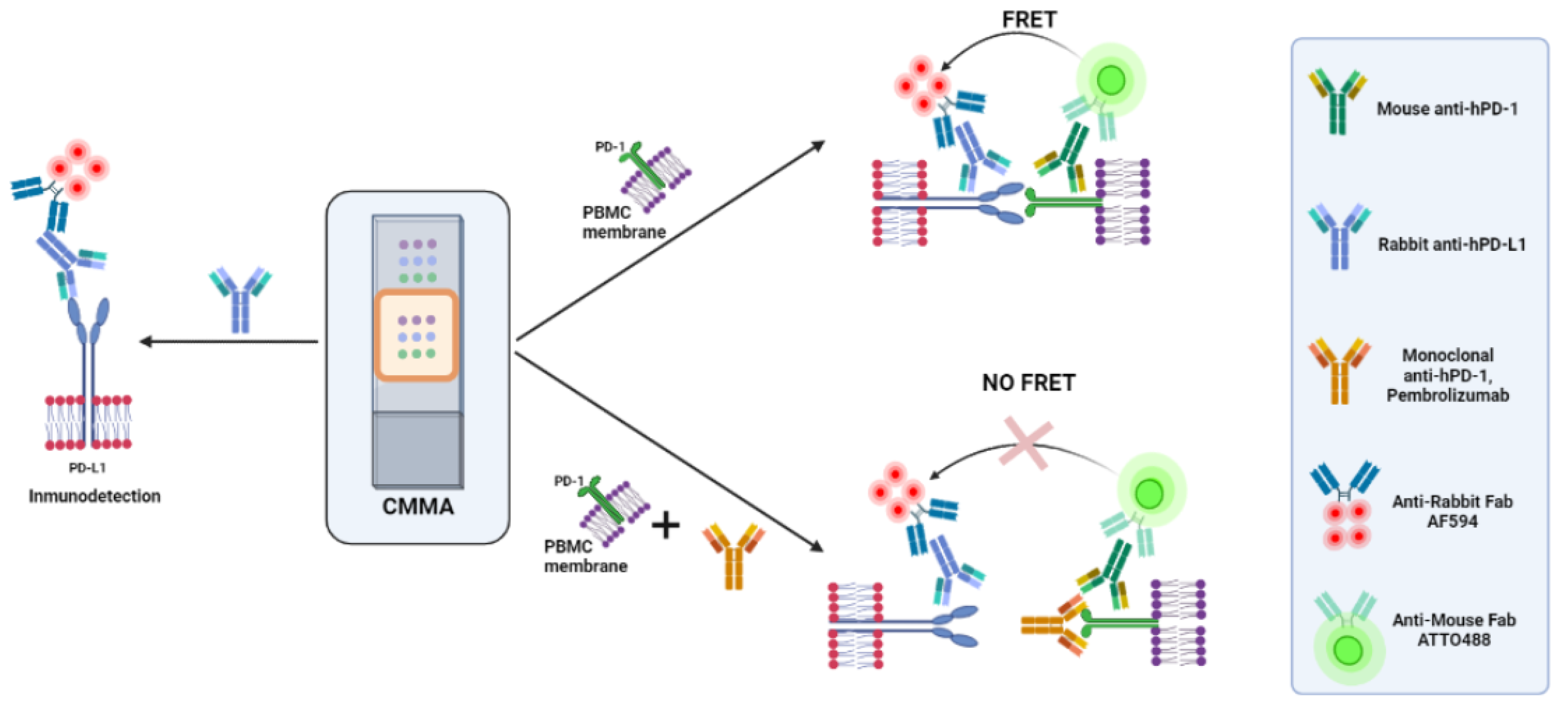 Analytica 02 00015 g001