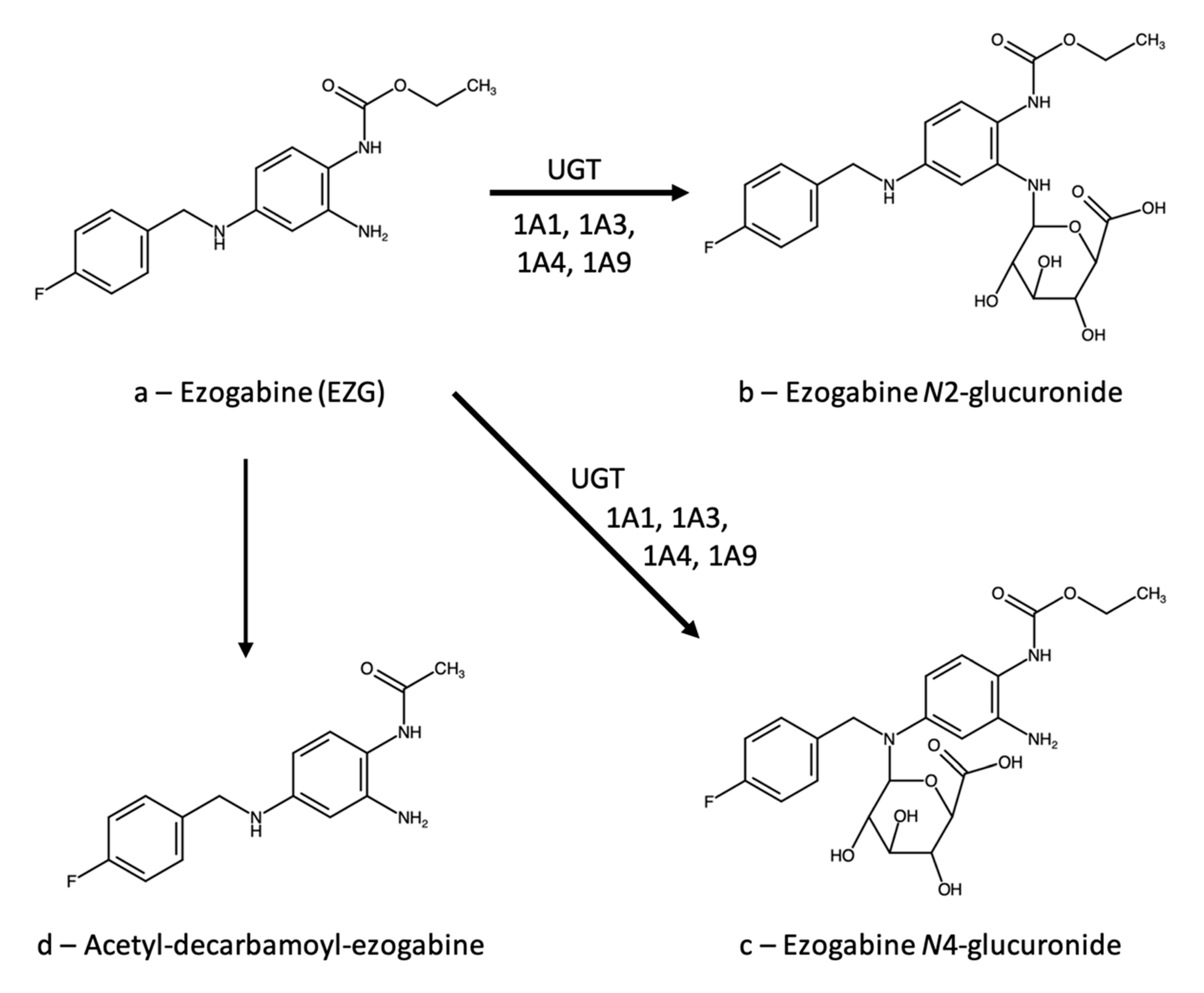 Analytica 02 00016 g001